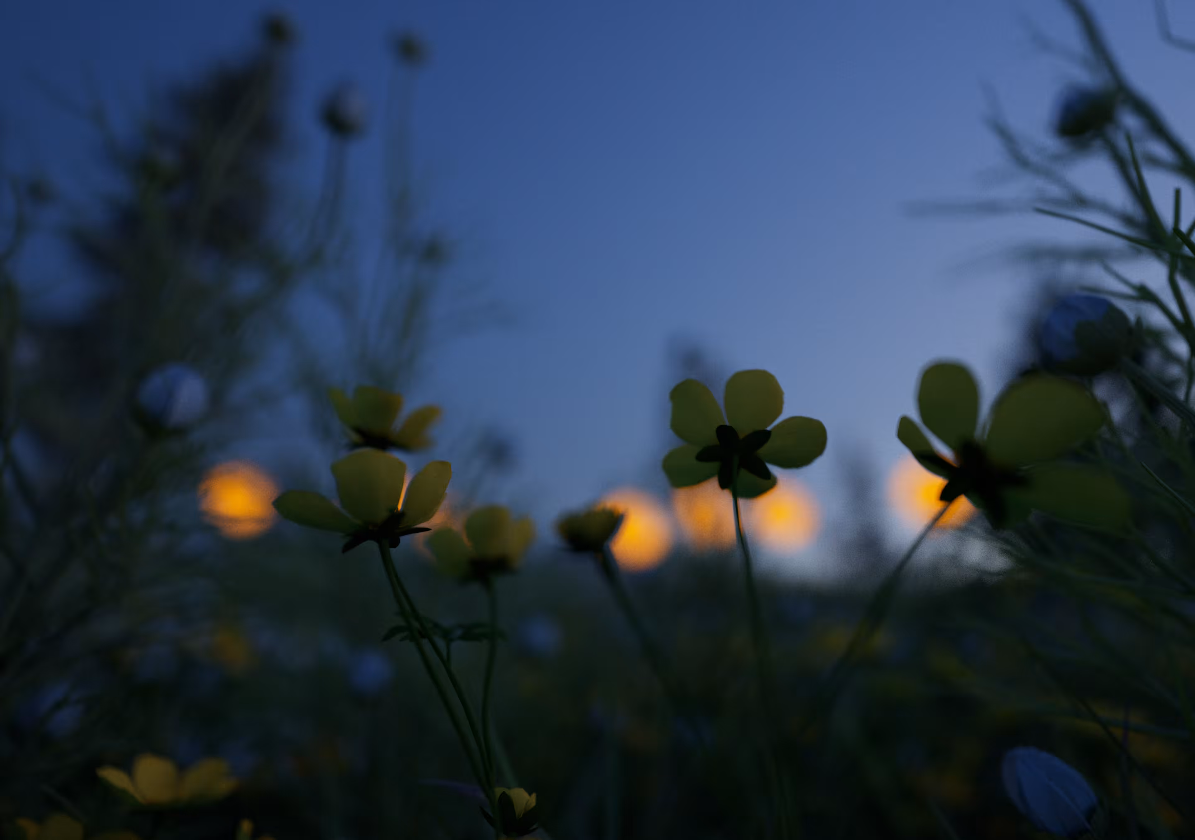 Mellow Yellows & Twilight Blues