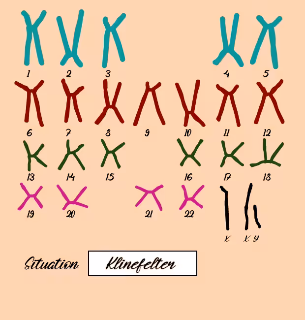 "Karyotype" #6