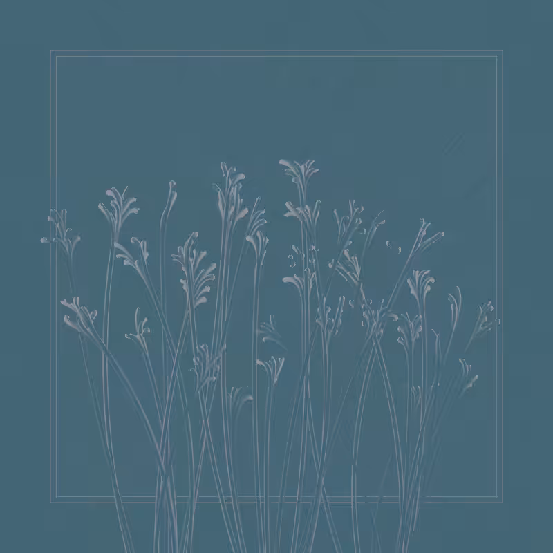 string_pllu #73