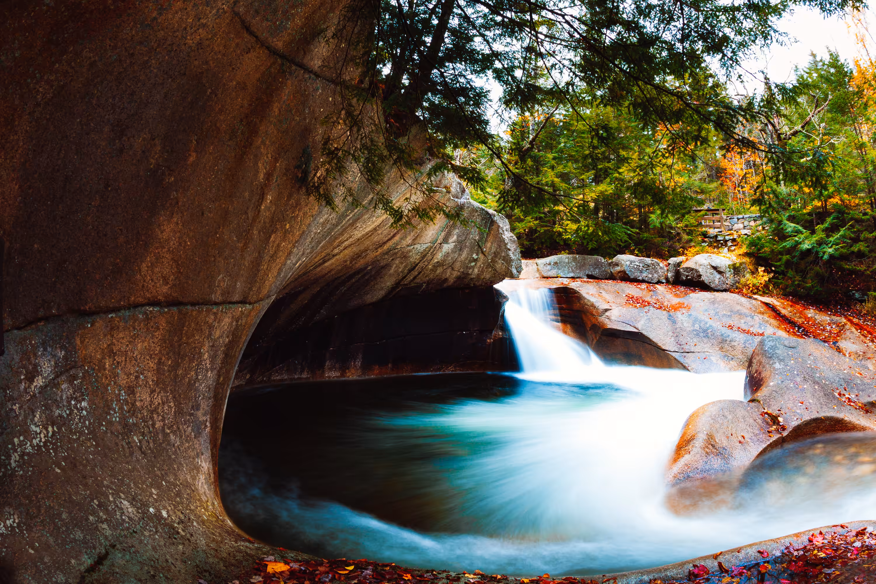 The Basin