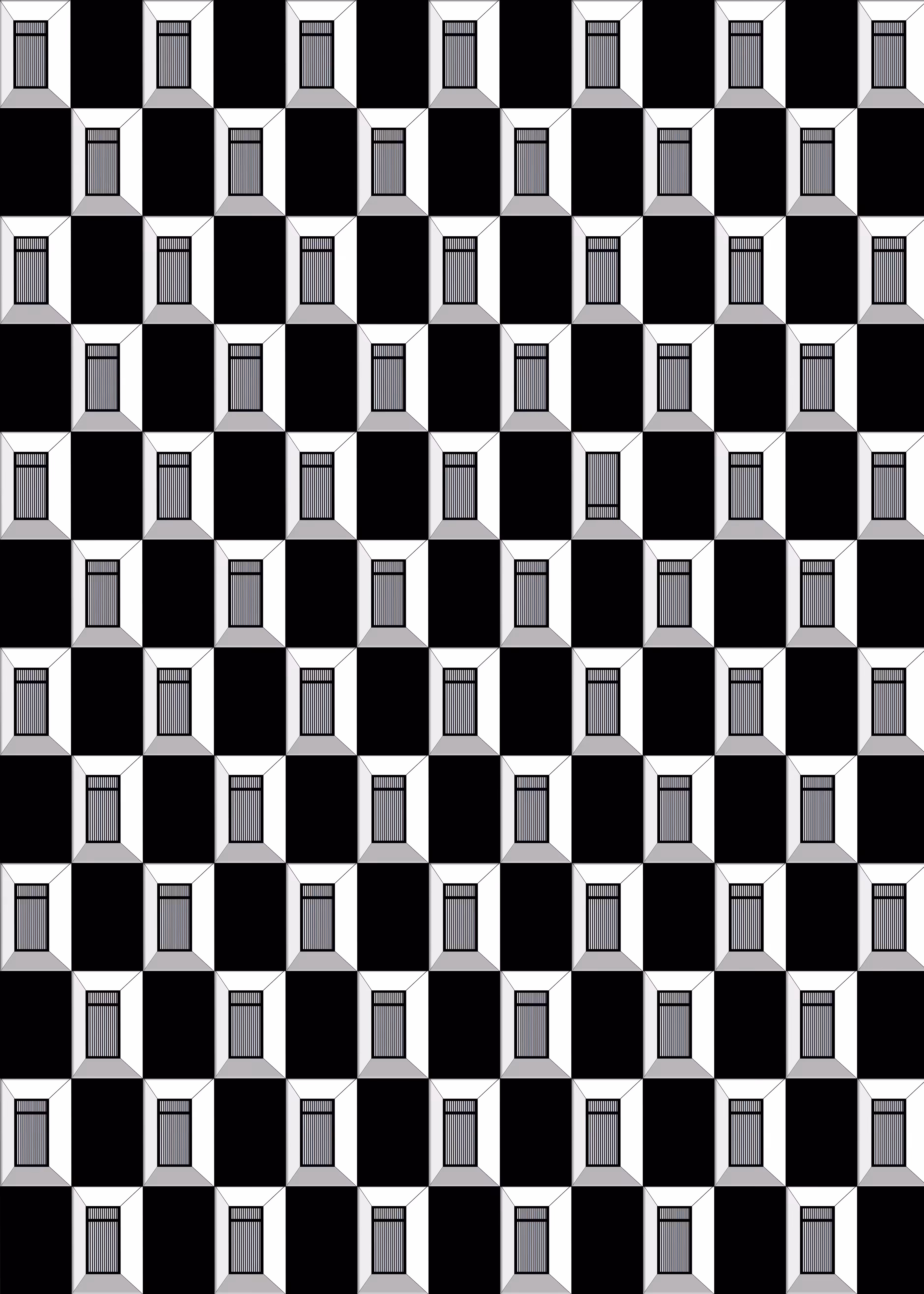 #6 Achromatic World | B/W Windows
