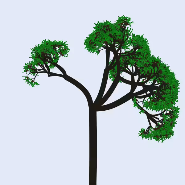 Procedural Maritime Pine 271333