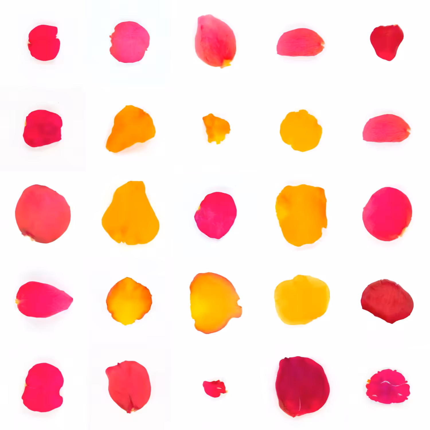 Infinite Petals 5x5#20638