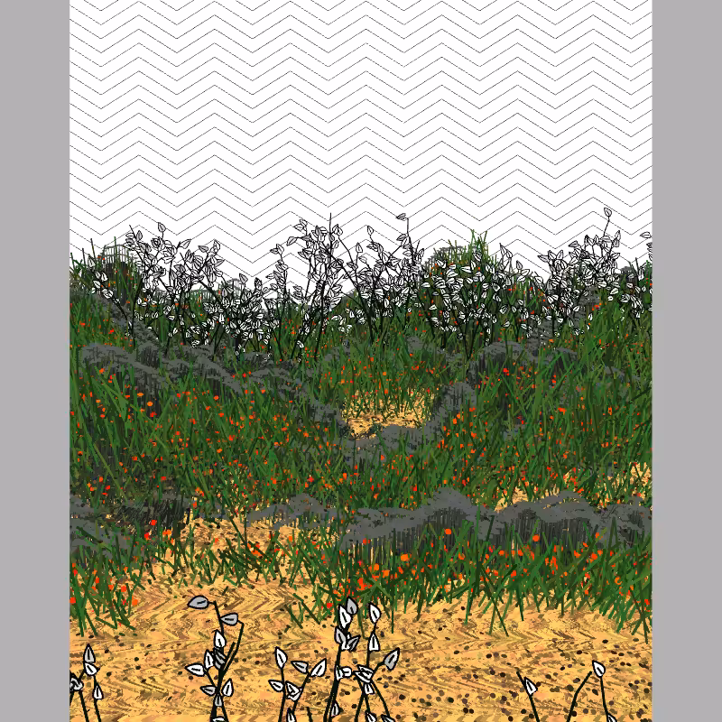 Contours #88