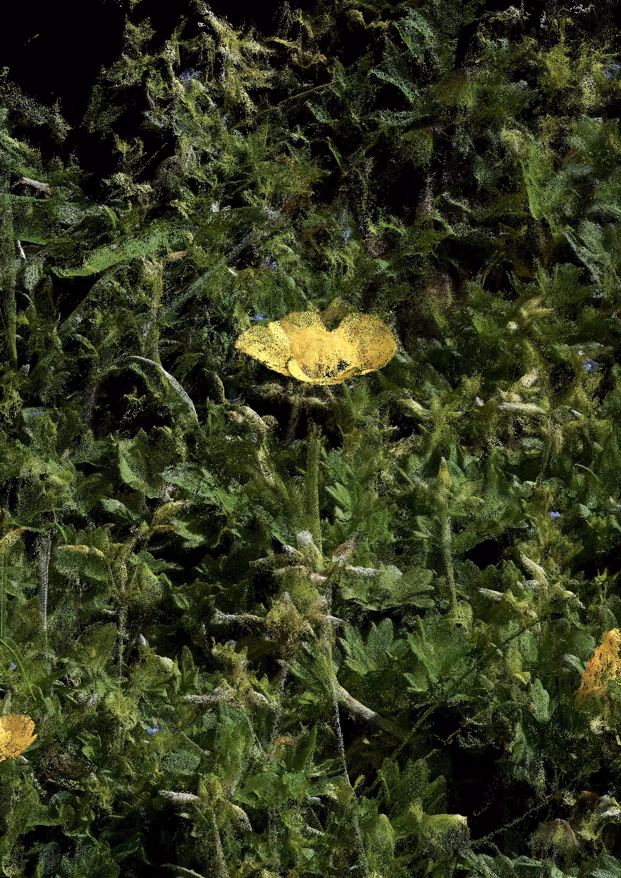 Overgrowth 0311
