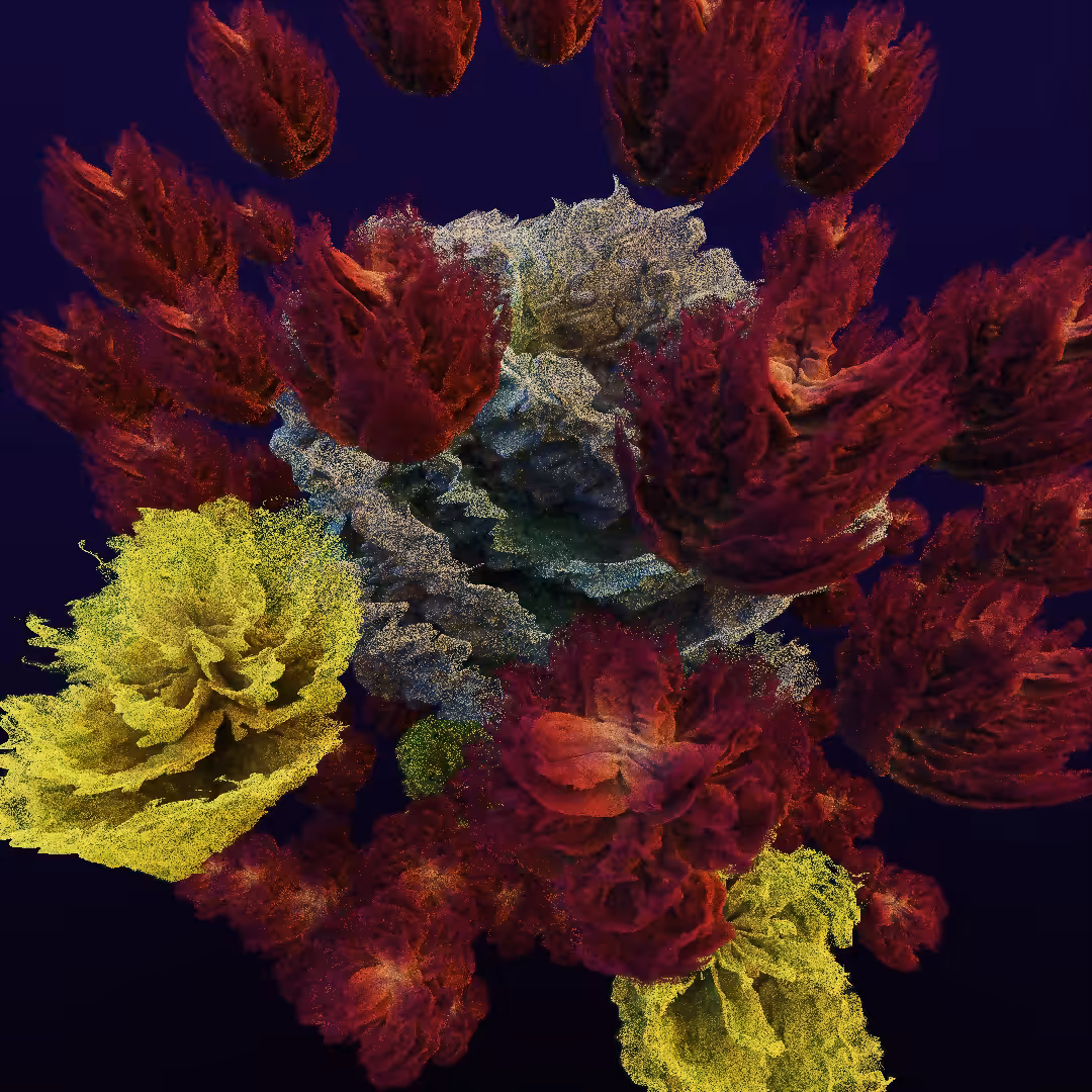 rosarium #92