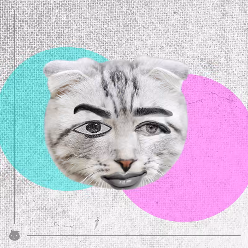 Kittenstein #73