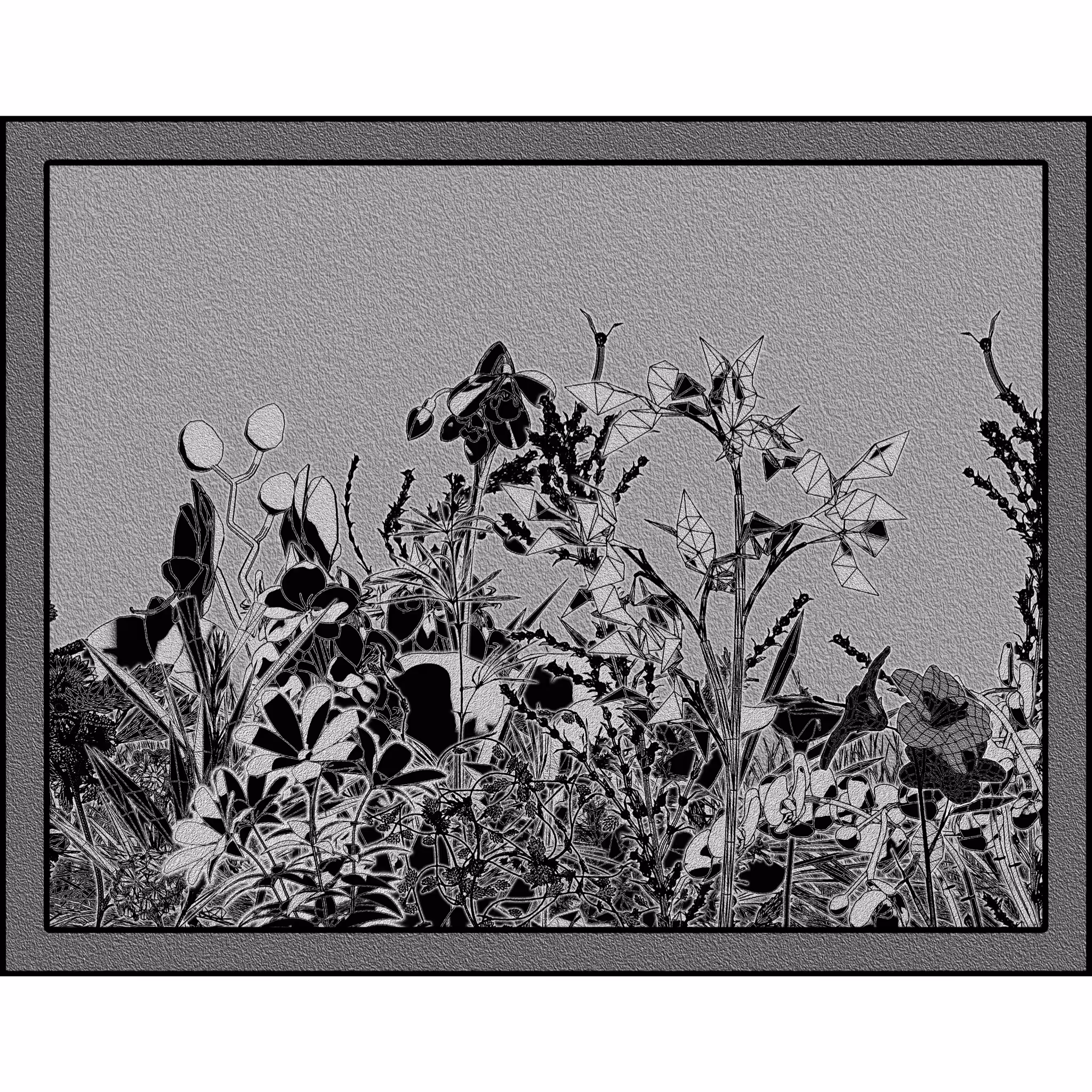 Flower View #345