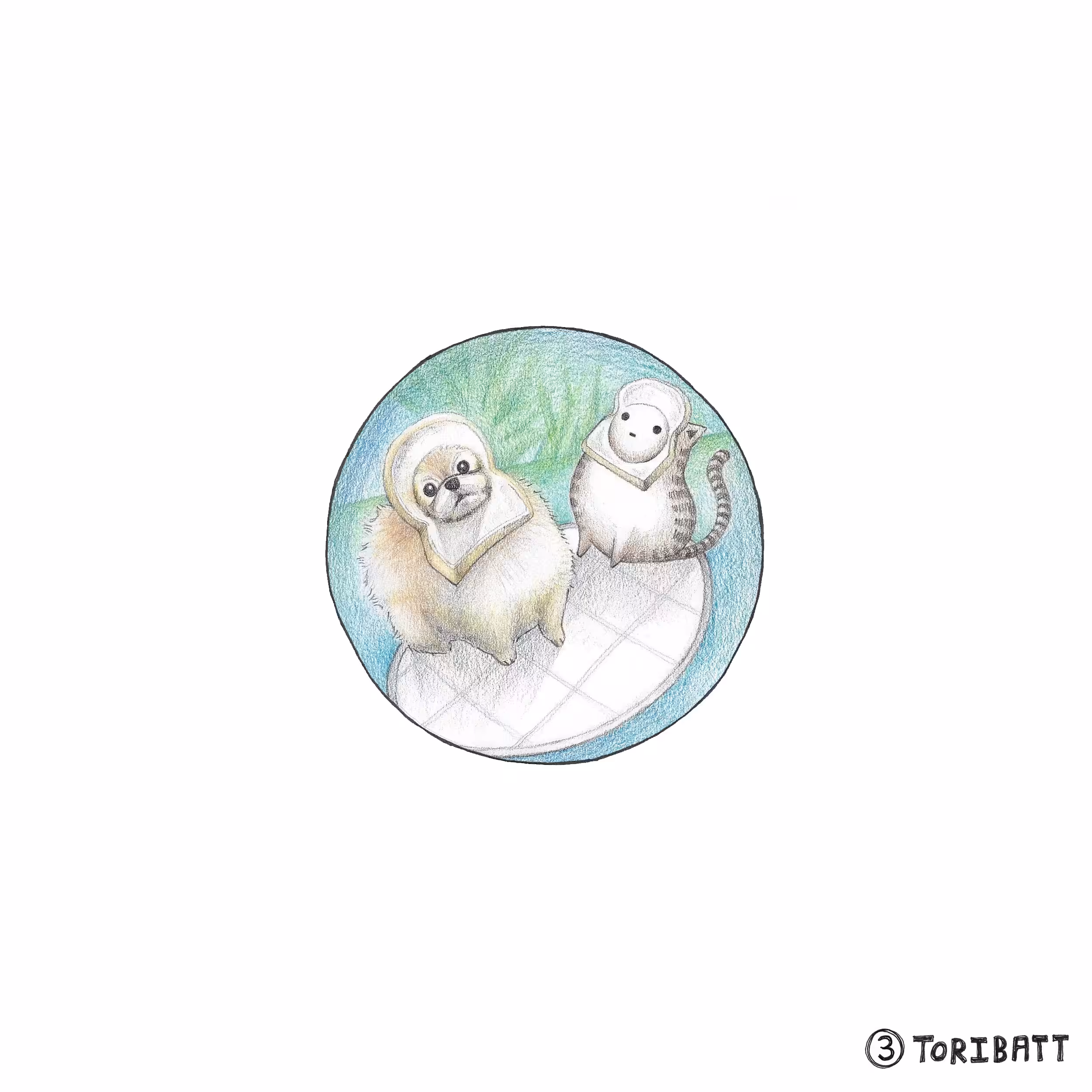 Cat with a Pomeranian. (Cat:003)