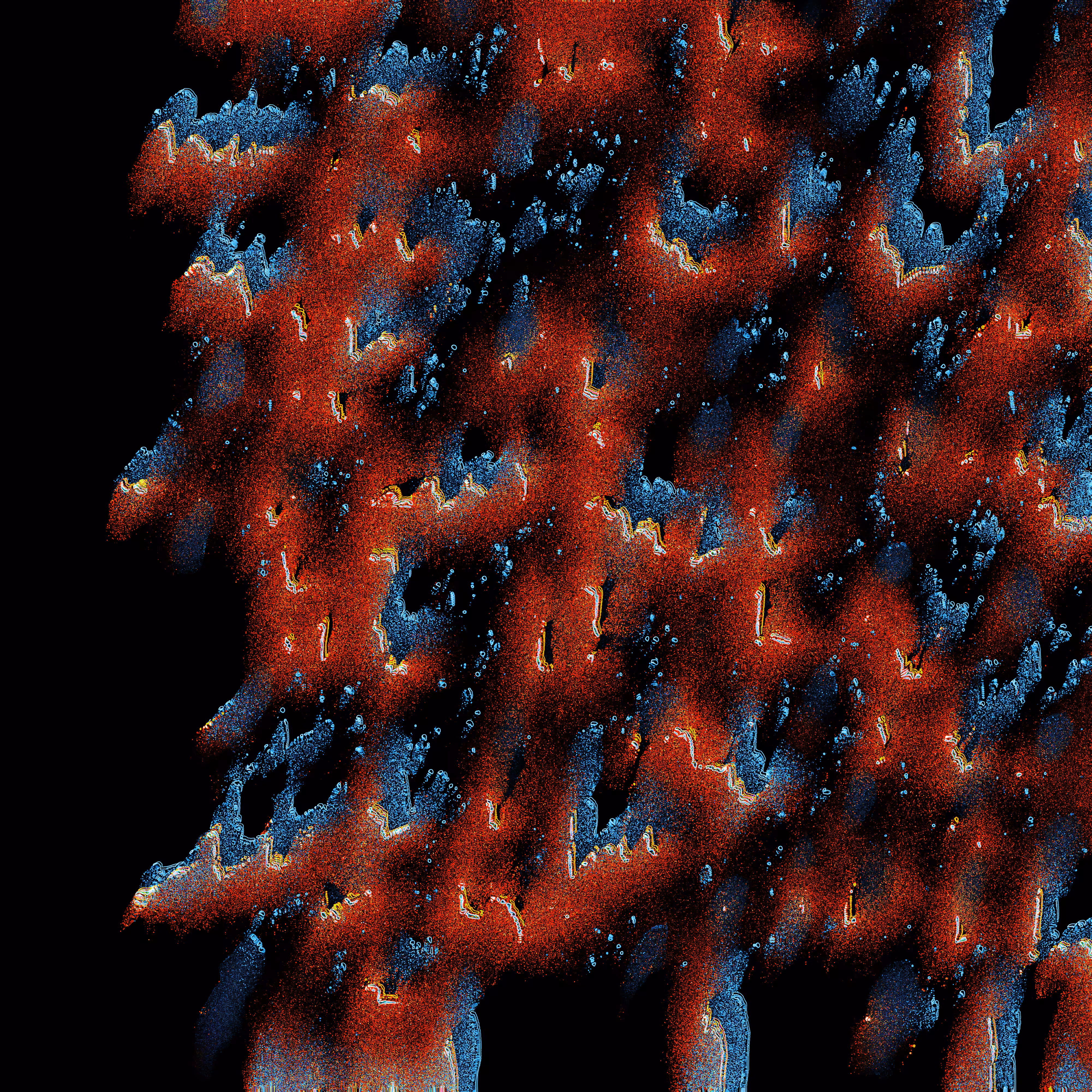 Coral Lichen