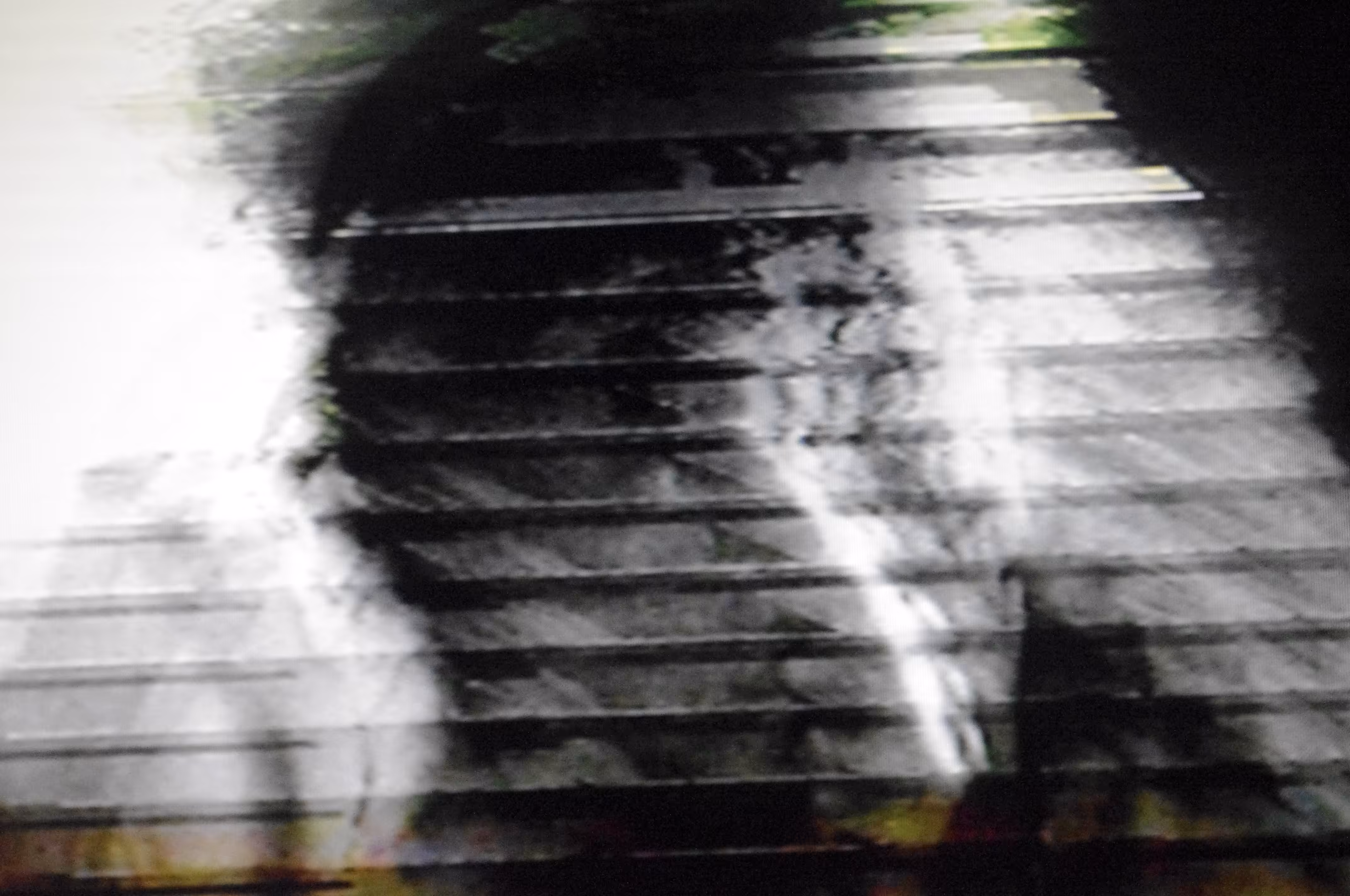 Glitch Shadow #002