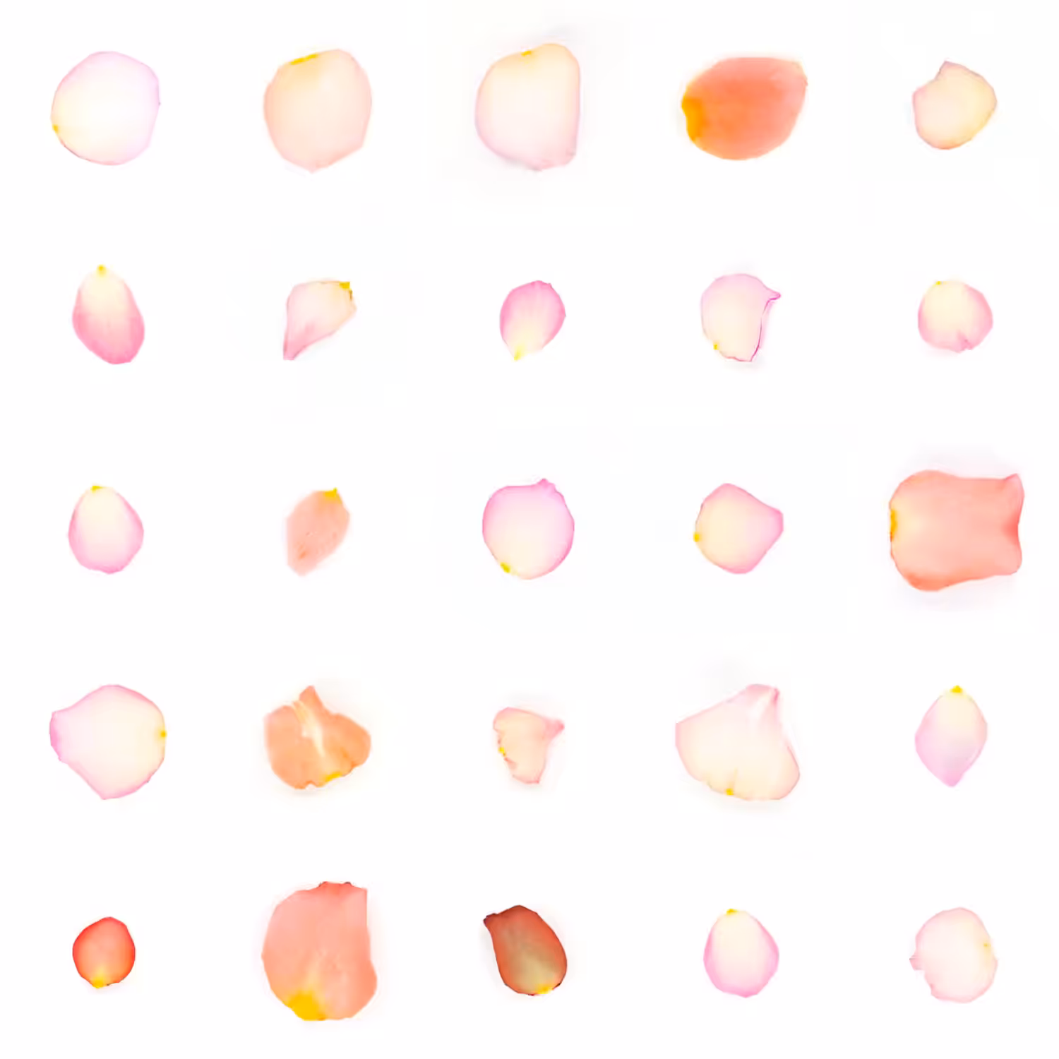 Infinite Petals 5x5#22780