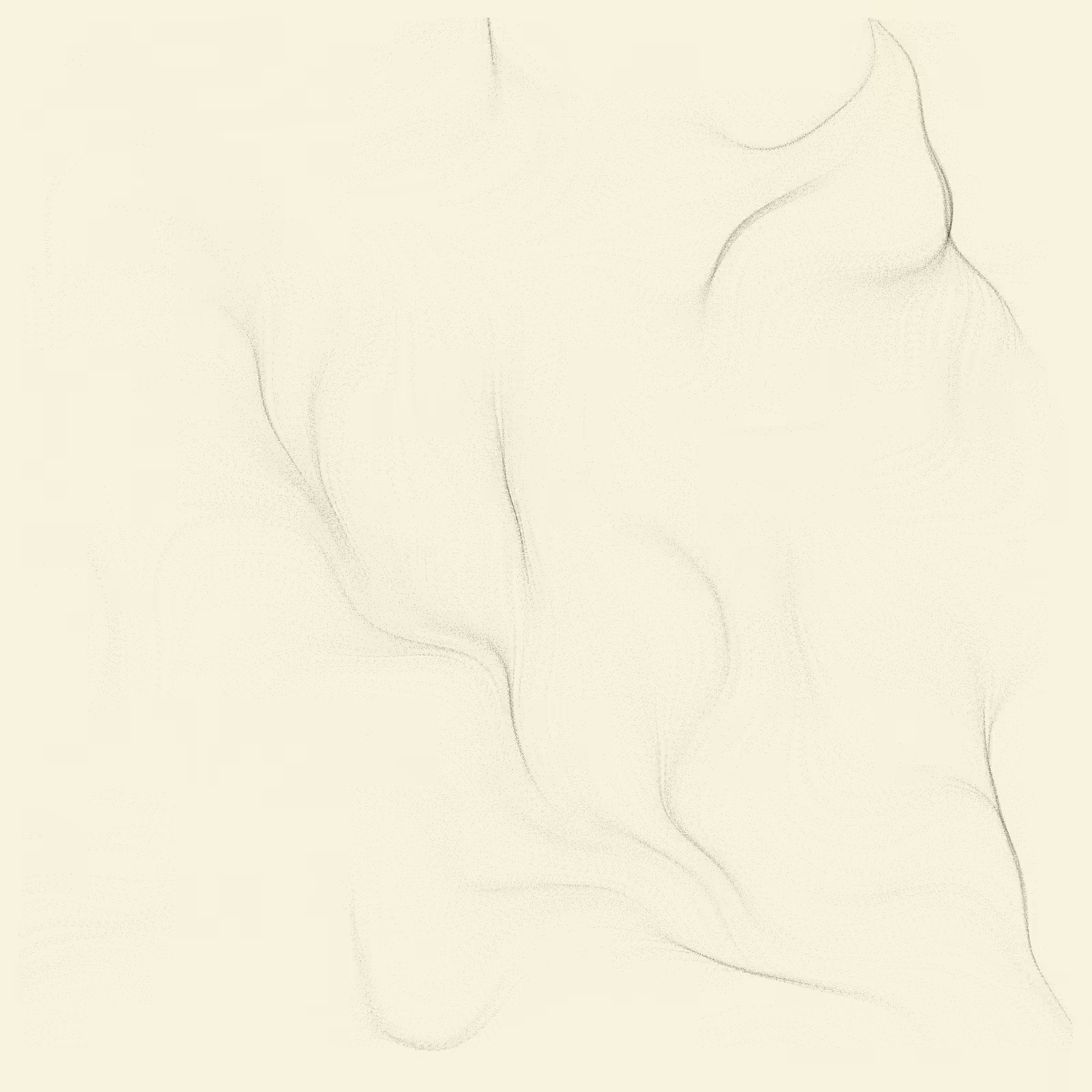 fx(flowField) #98