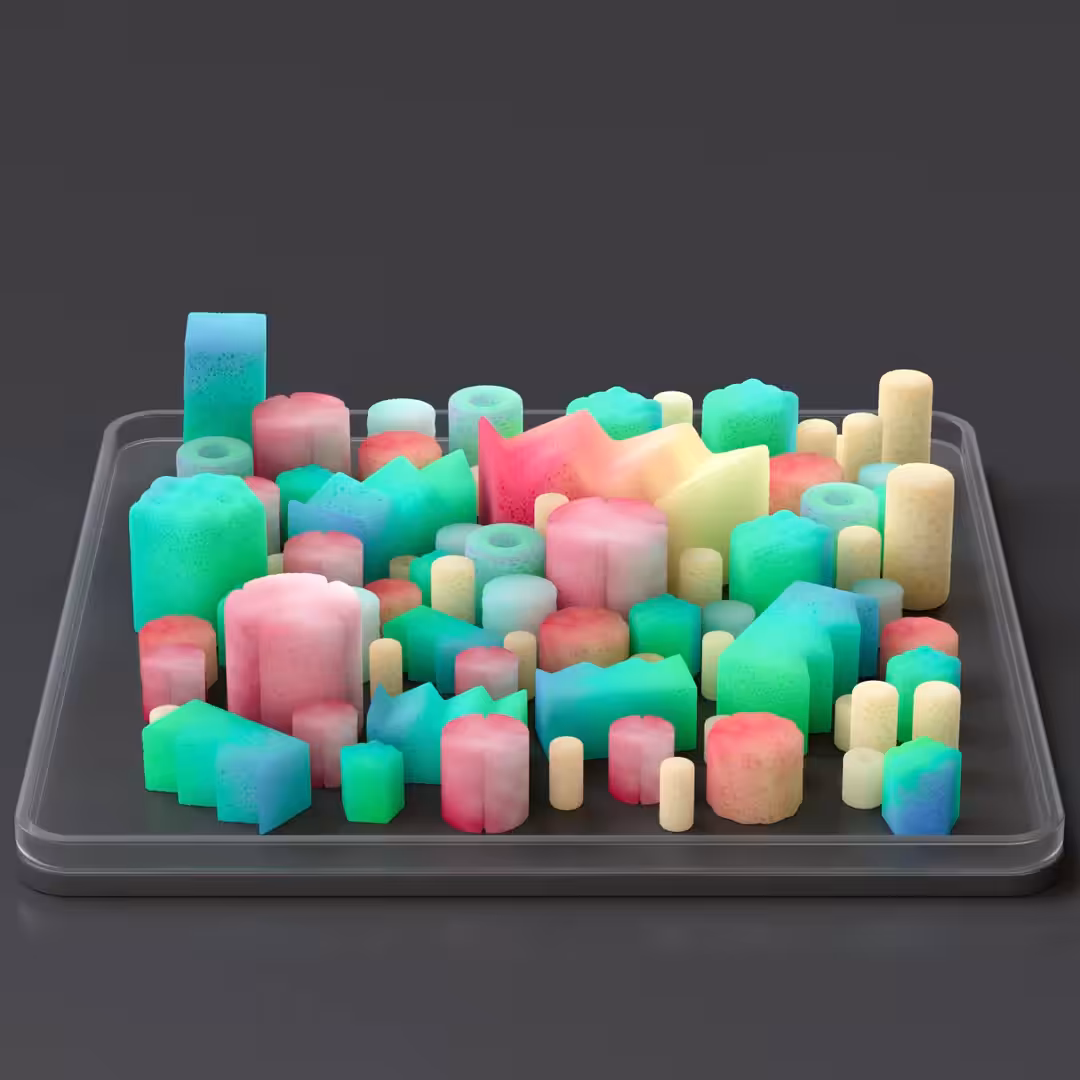 Sponge Reaction II