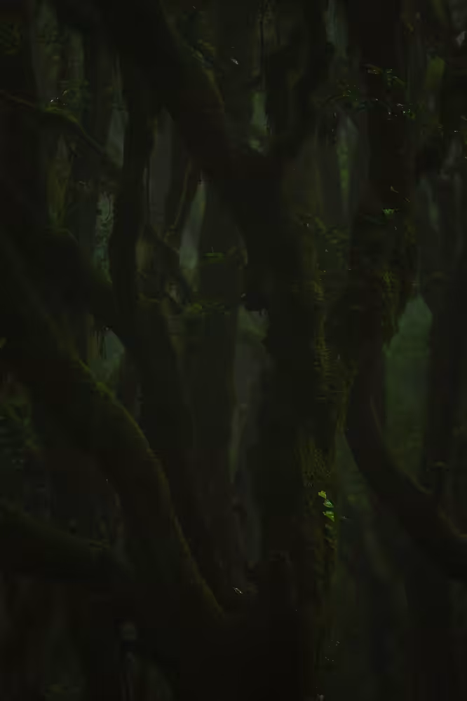 The primal forest