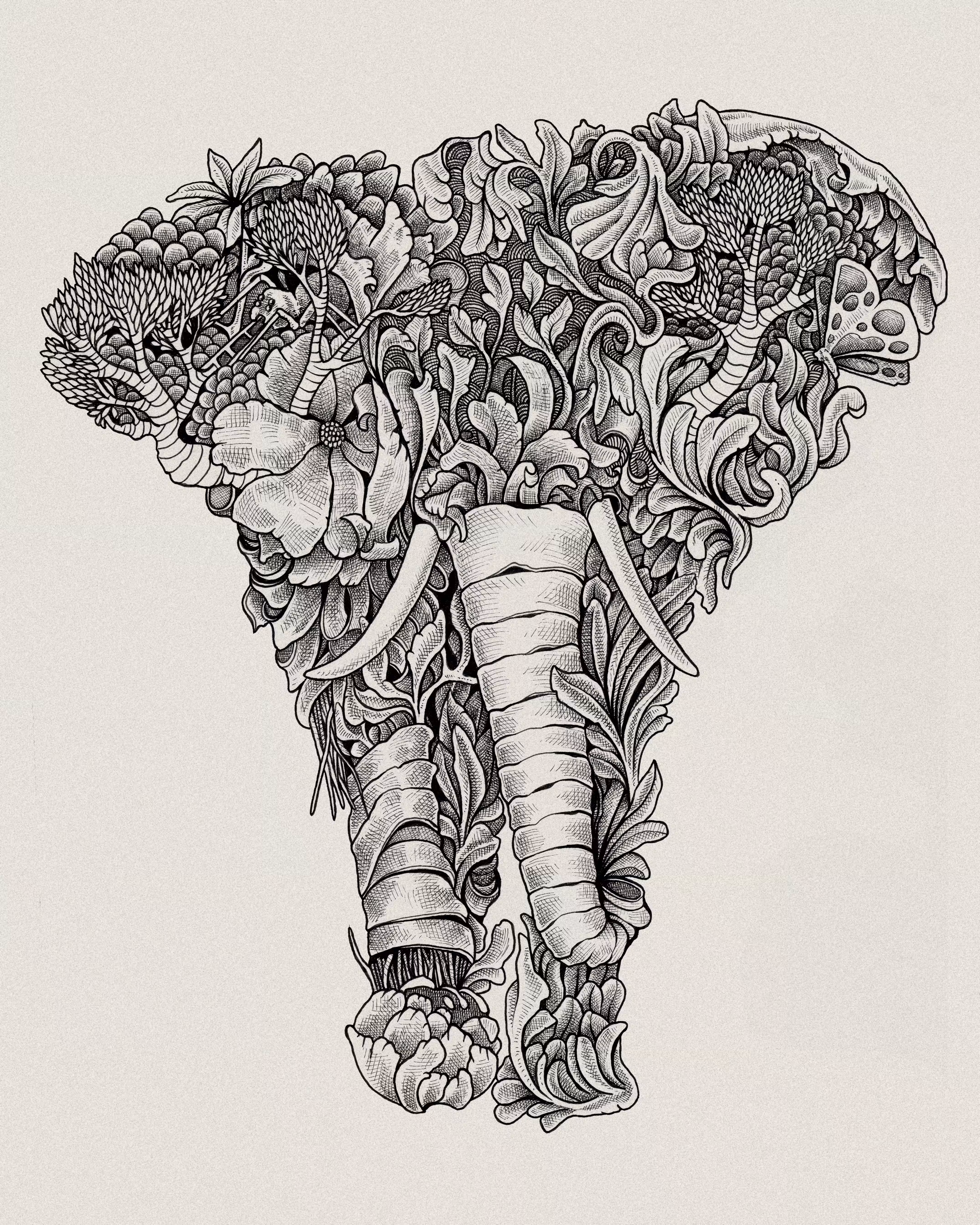 Elephant 3