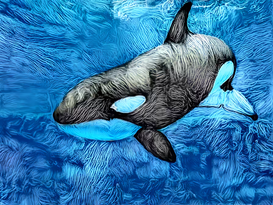 The Killer Dolphin