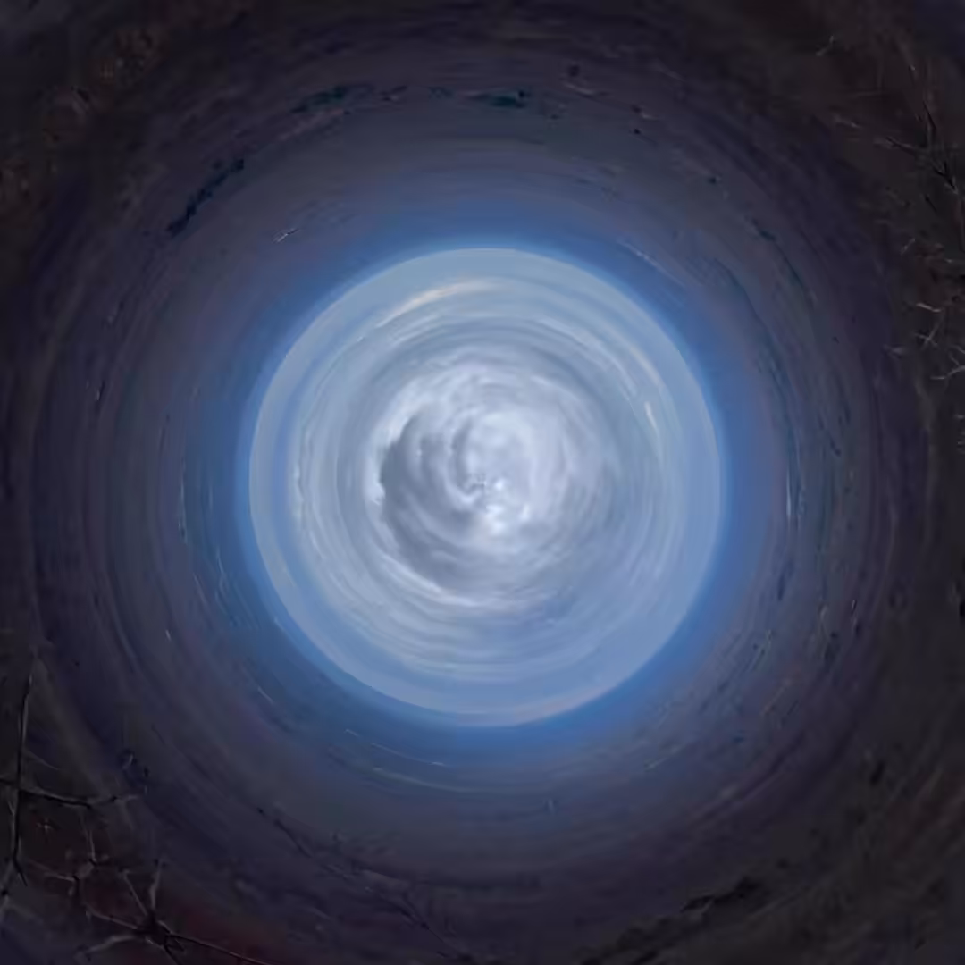 Gaia Viva