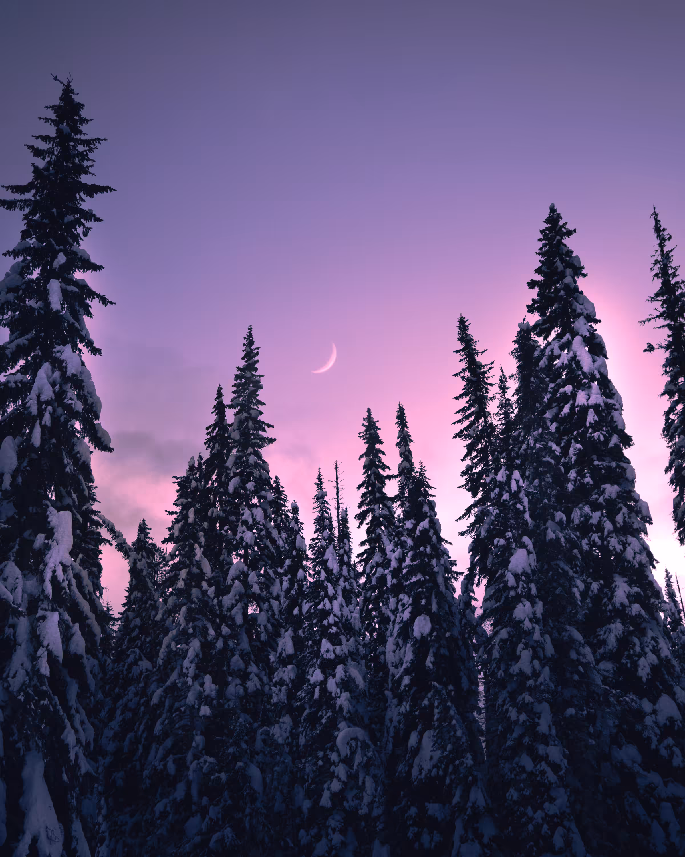 Day 4: Northern Escape