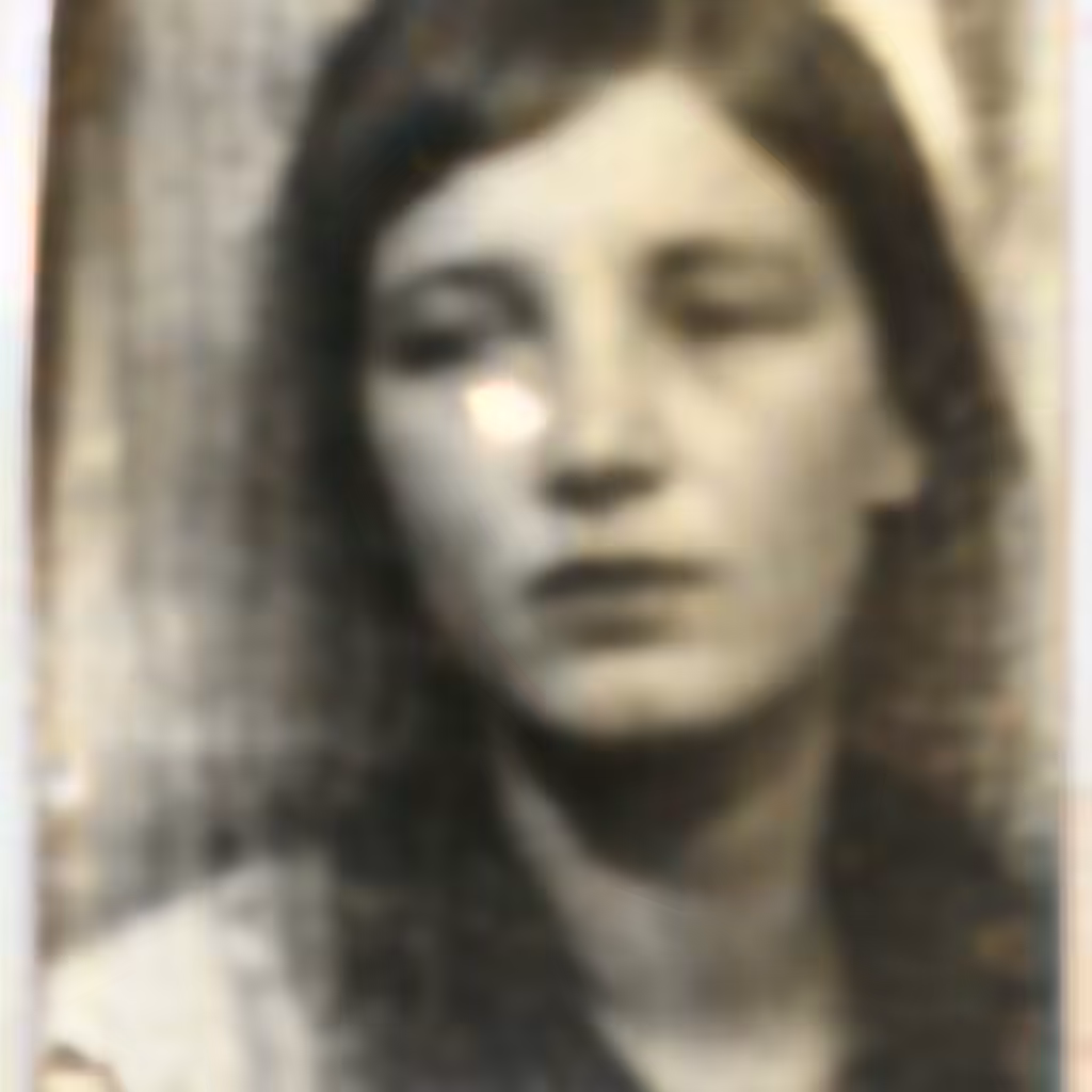 "The Silver Nitrate Archive"