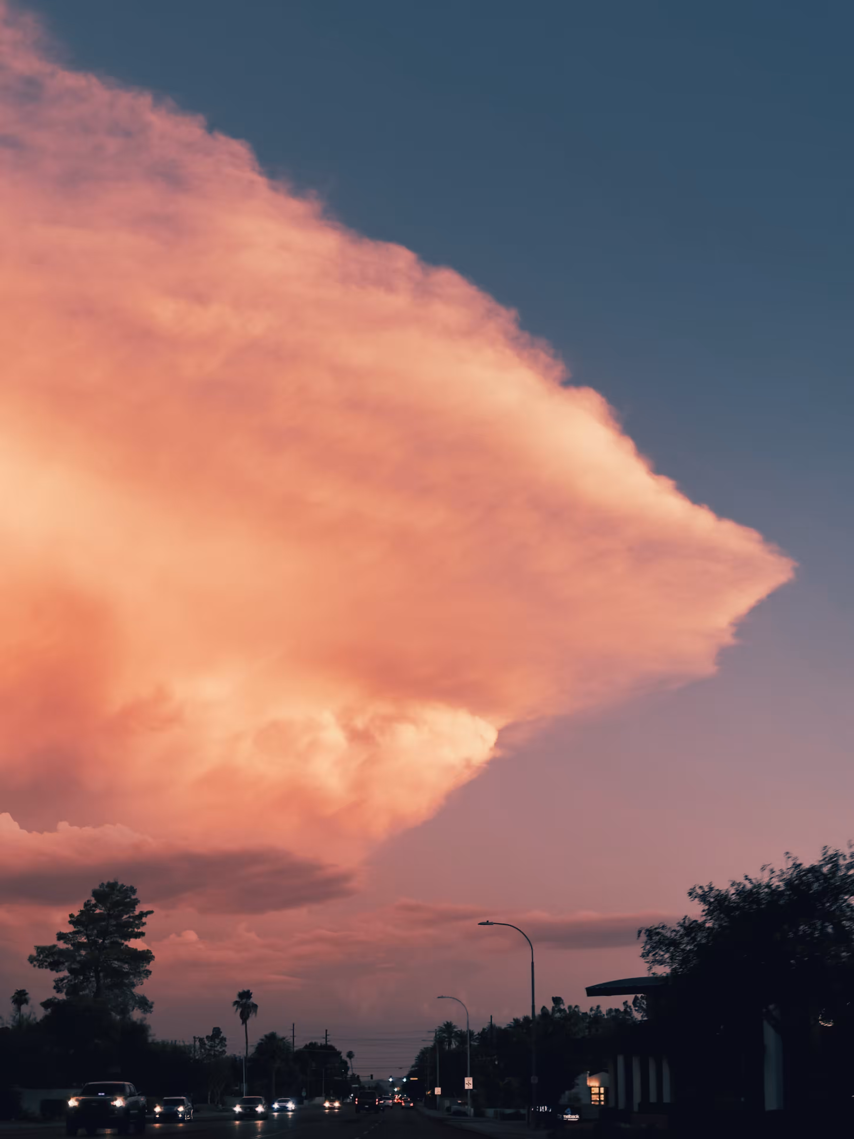 Arizona Twilight