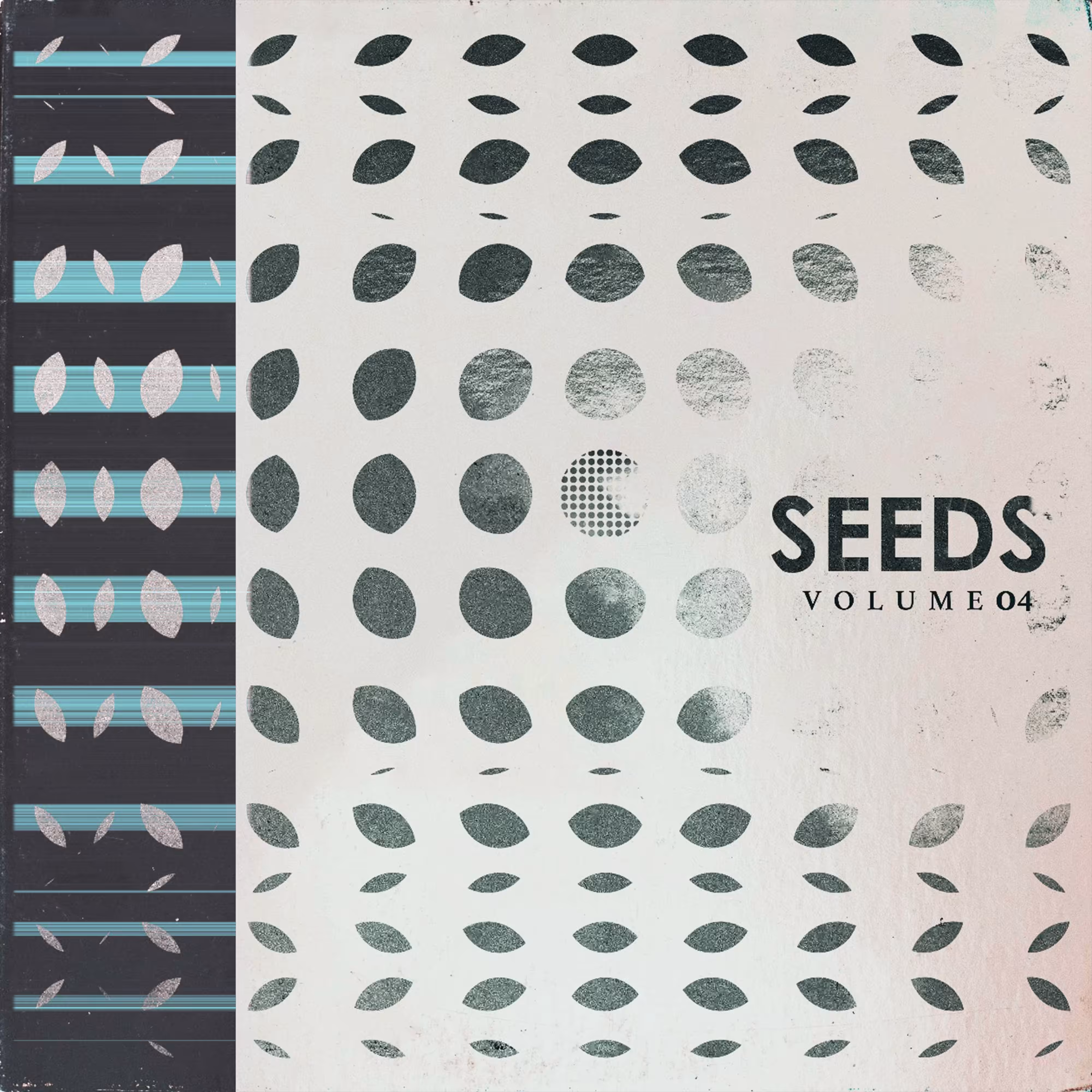 seed #35