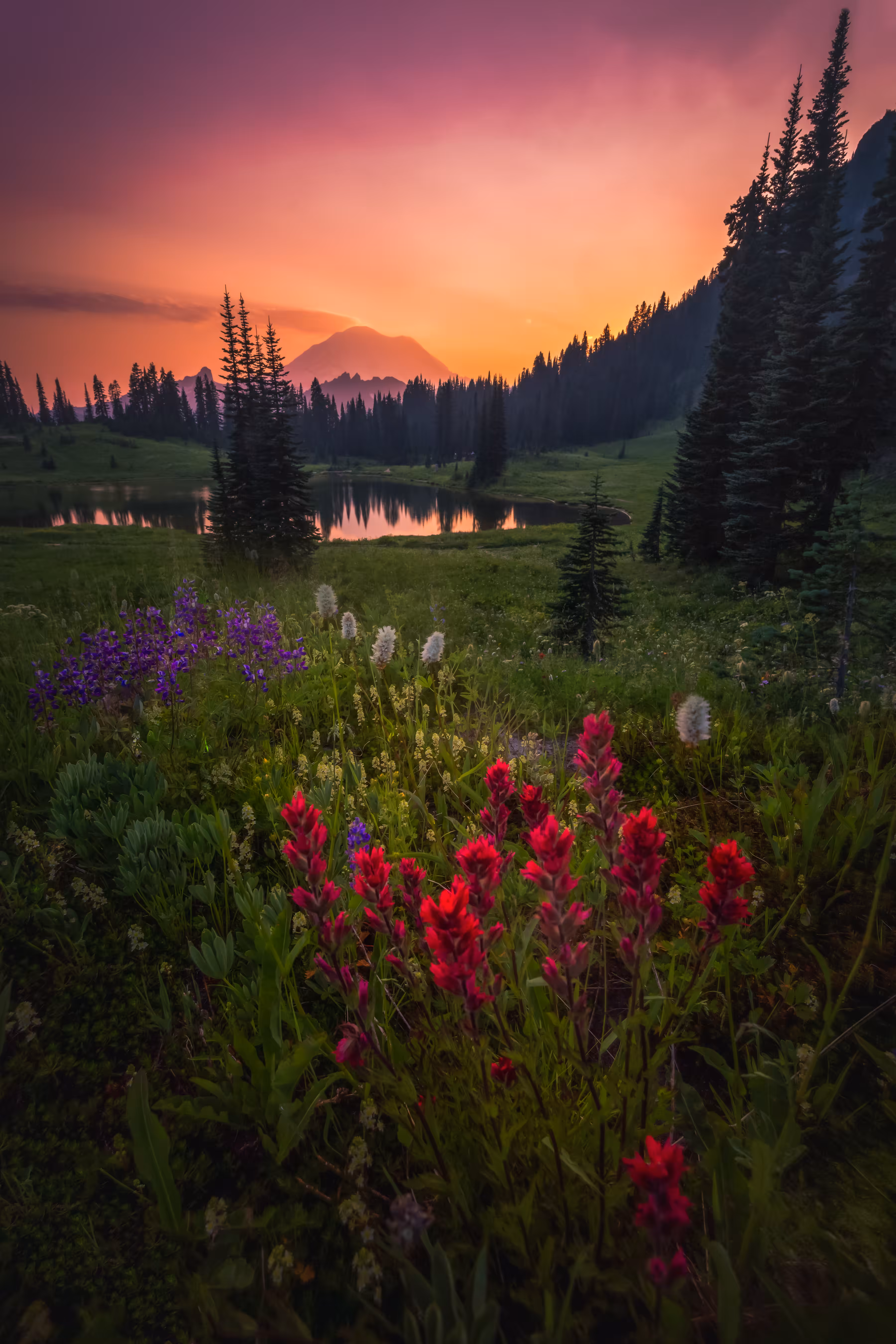 In Search of Stillness