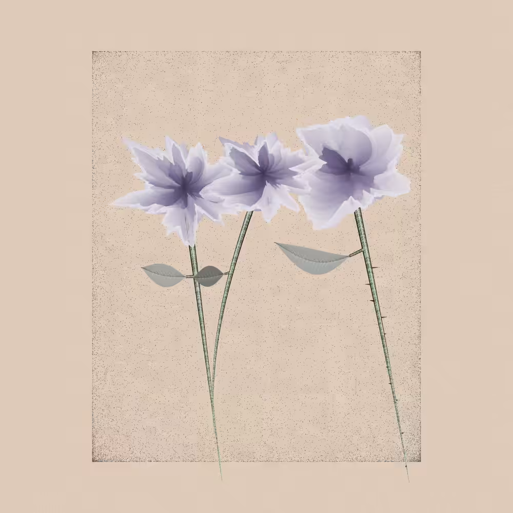 Magnolia #13