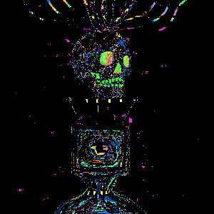 New Head