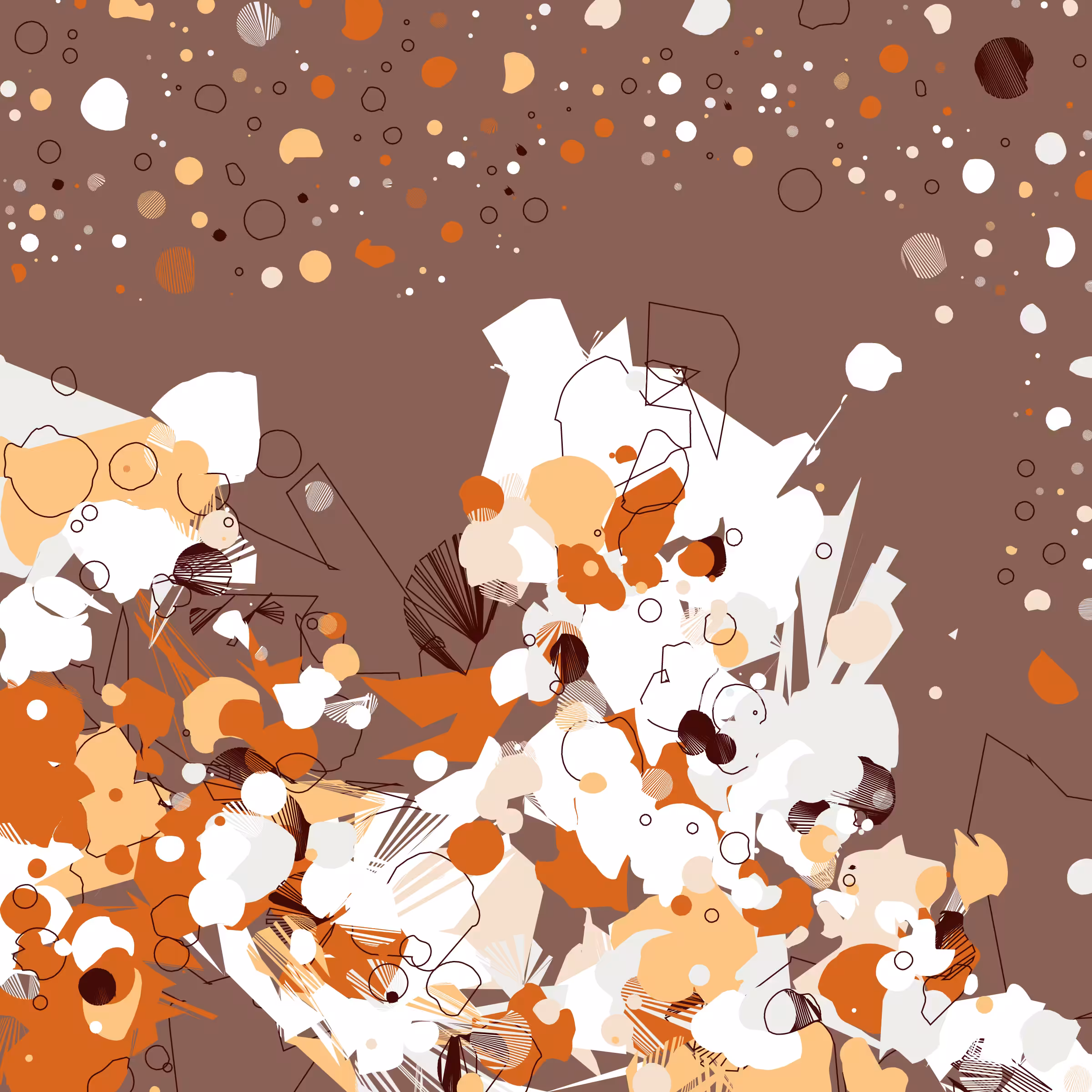 Coquina #169