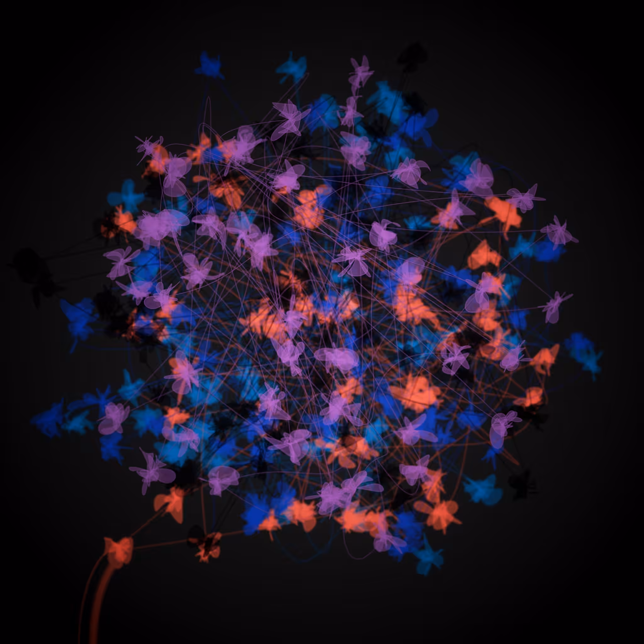 Entanglement #5572