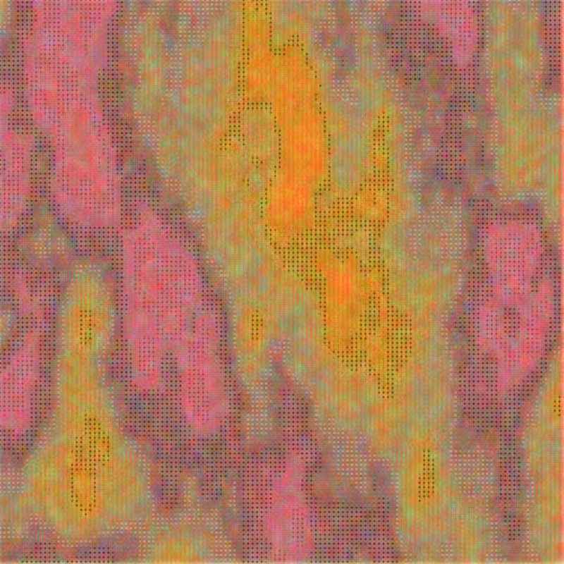 Petri 1500 #766