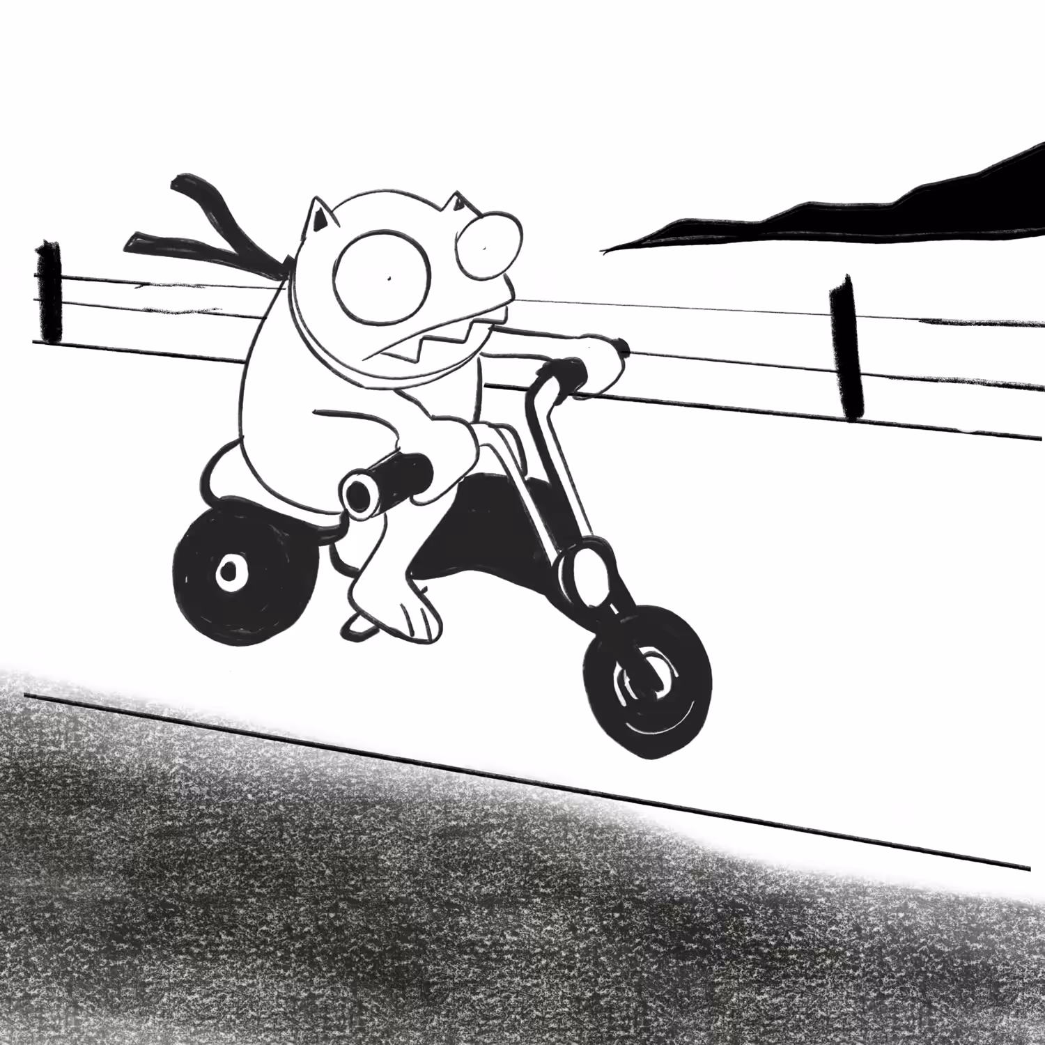 Miau Bolado Easy Rider