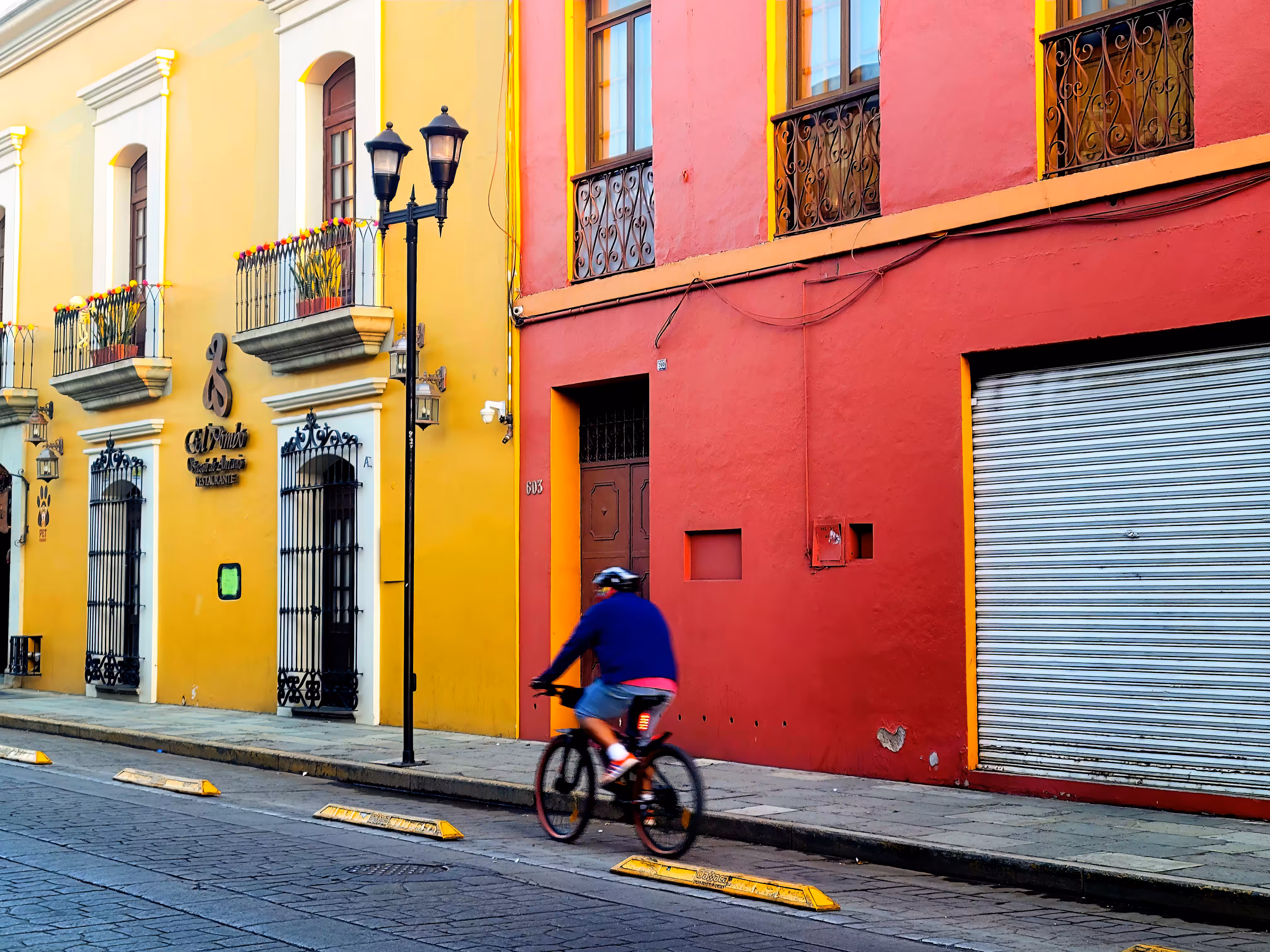 The Bicycle Rider