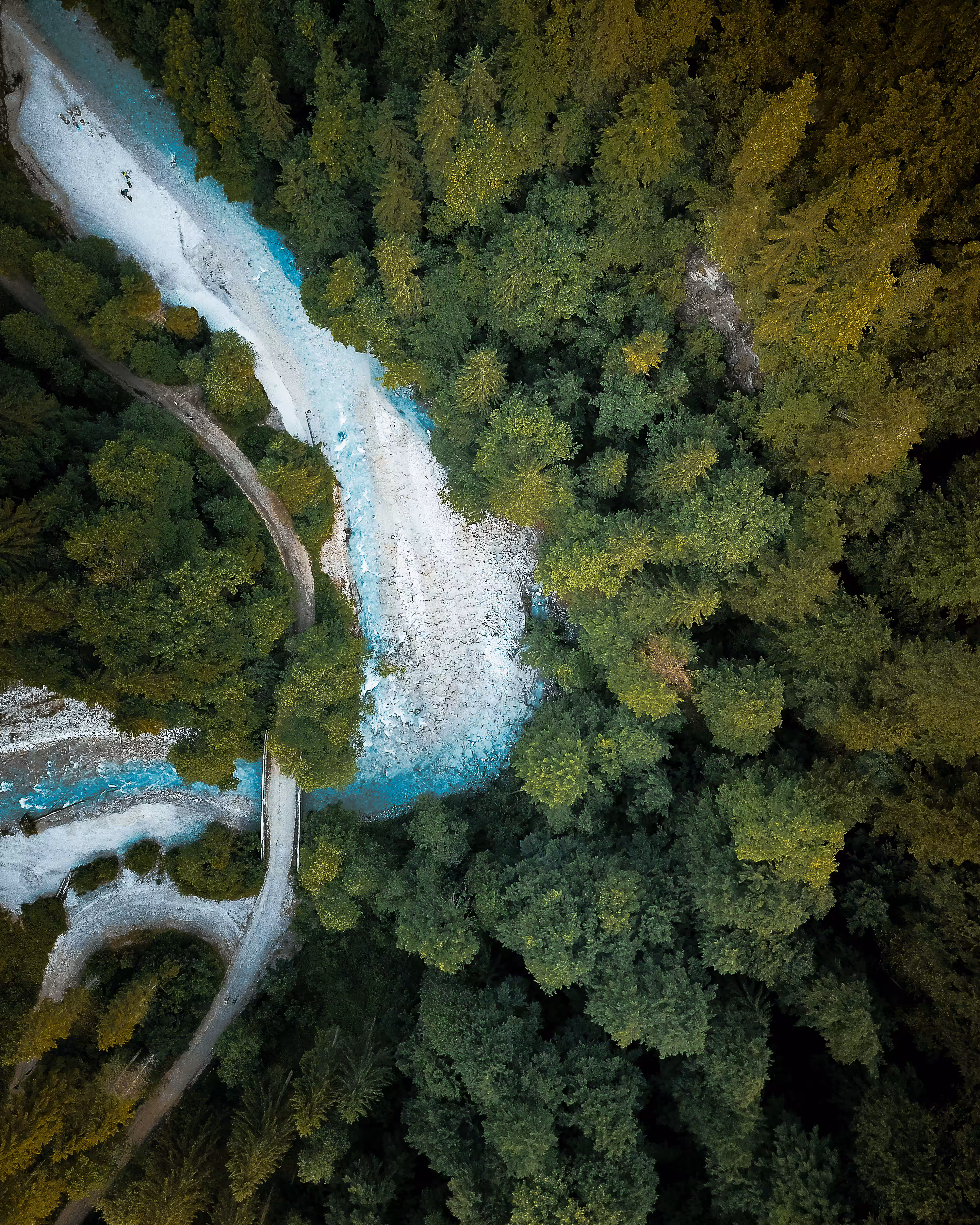 Germany Greens