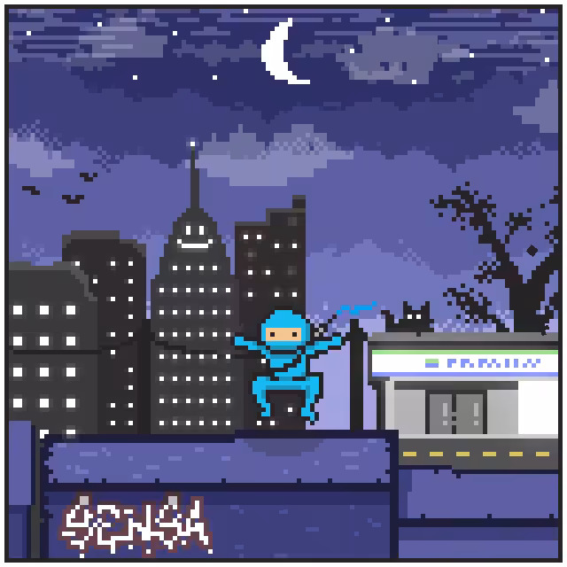 City Ninjaz #10