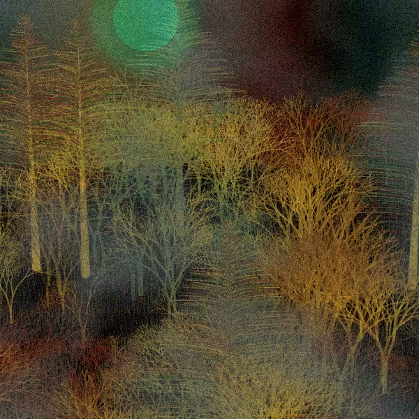 Moonlit Native Bush #17