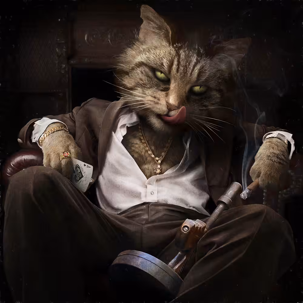 Cat king.