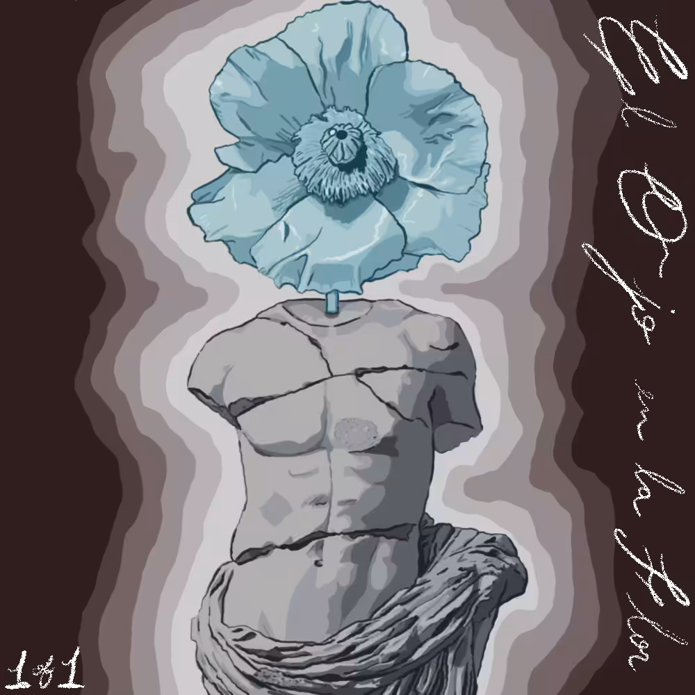#039 "Beauty Canons"