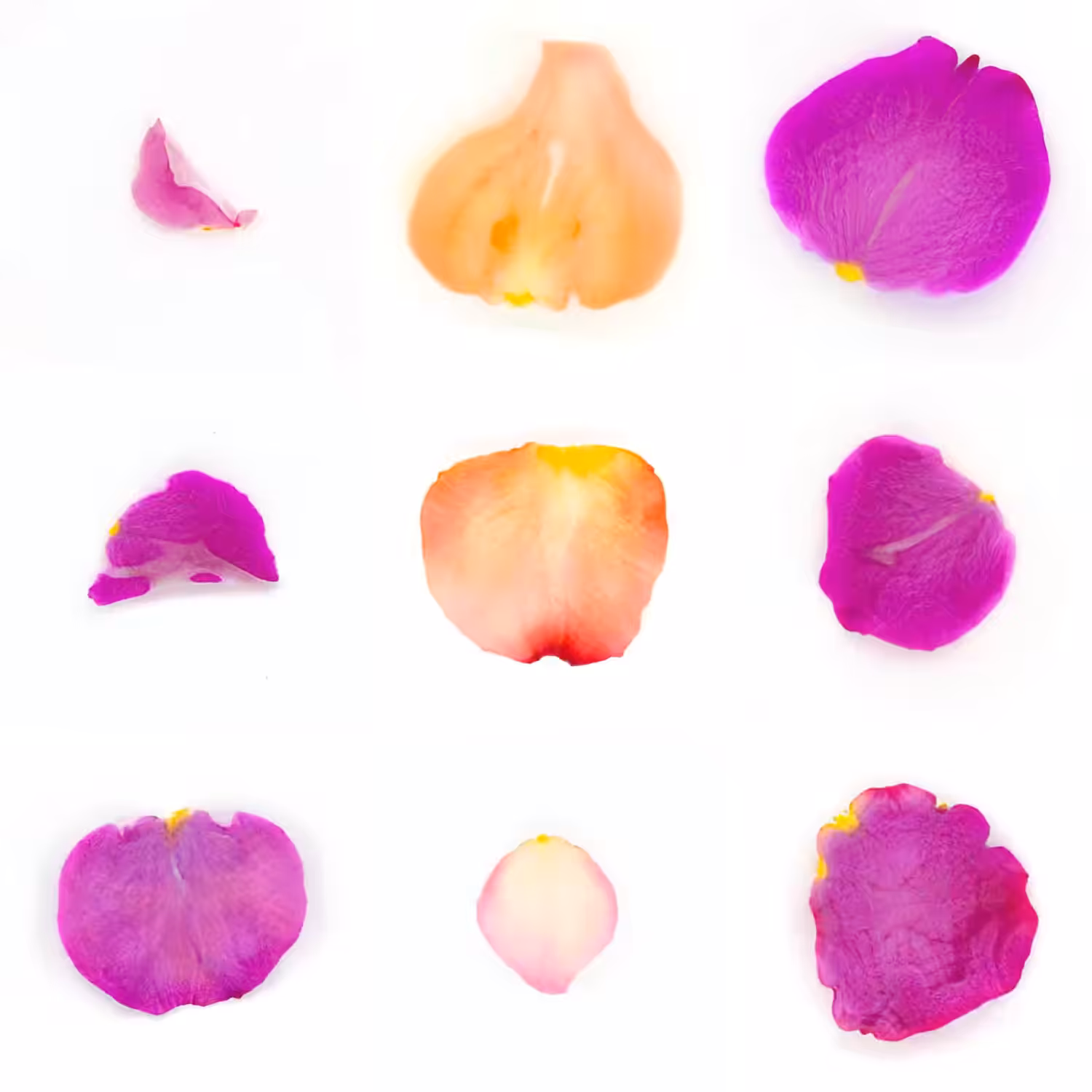 Infinite Petals 3x3#3304