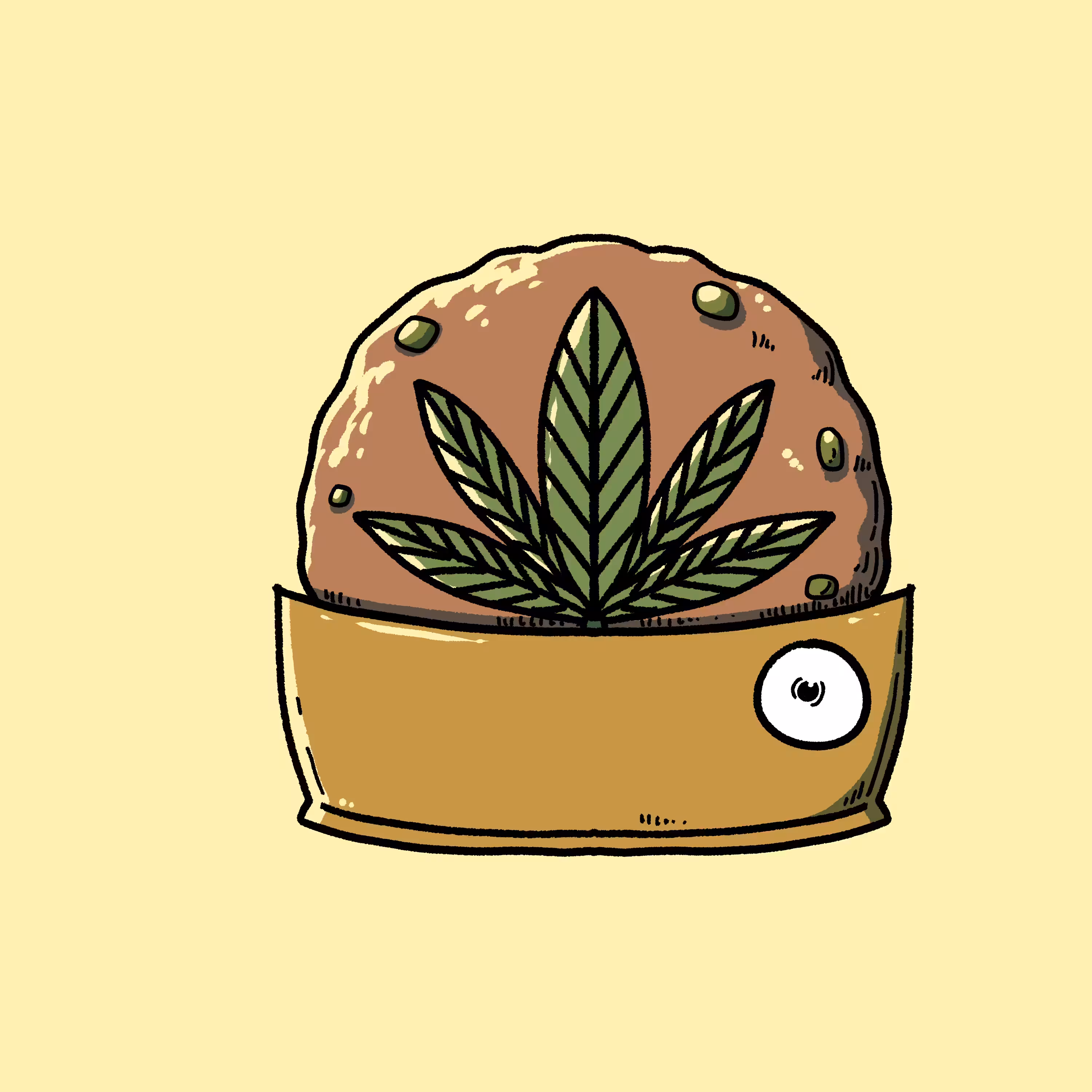 MATASATU'S EDIBLES