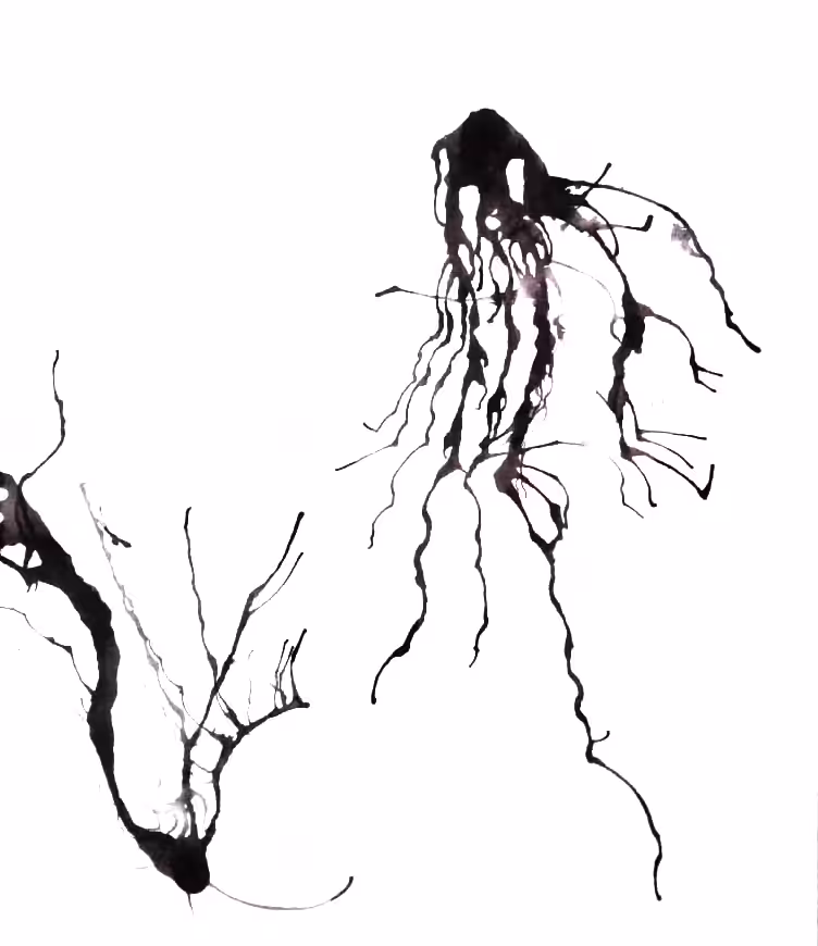 Dark Trails #14