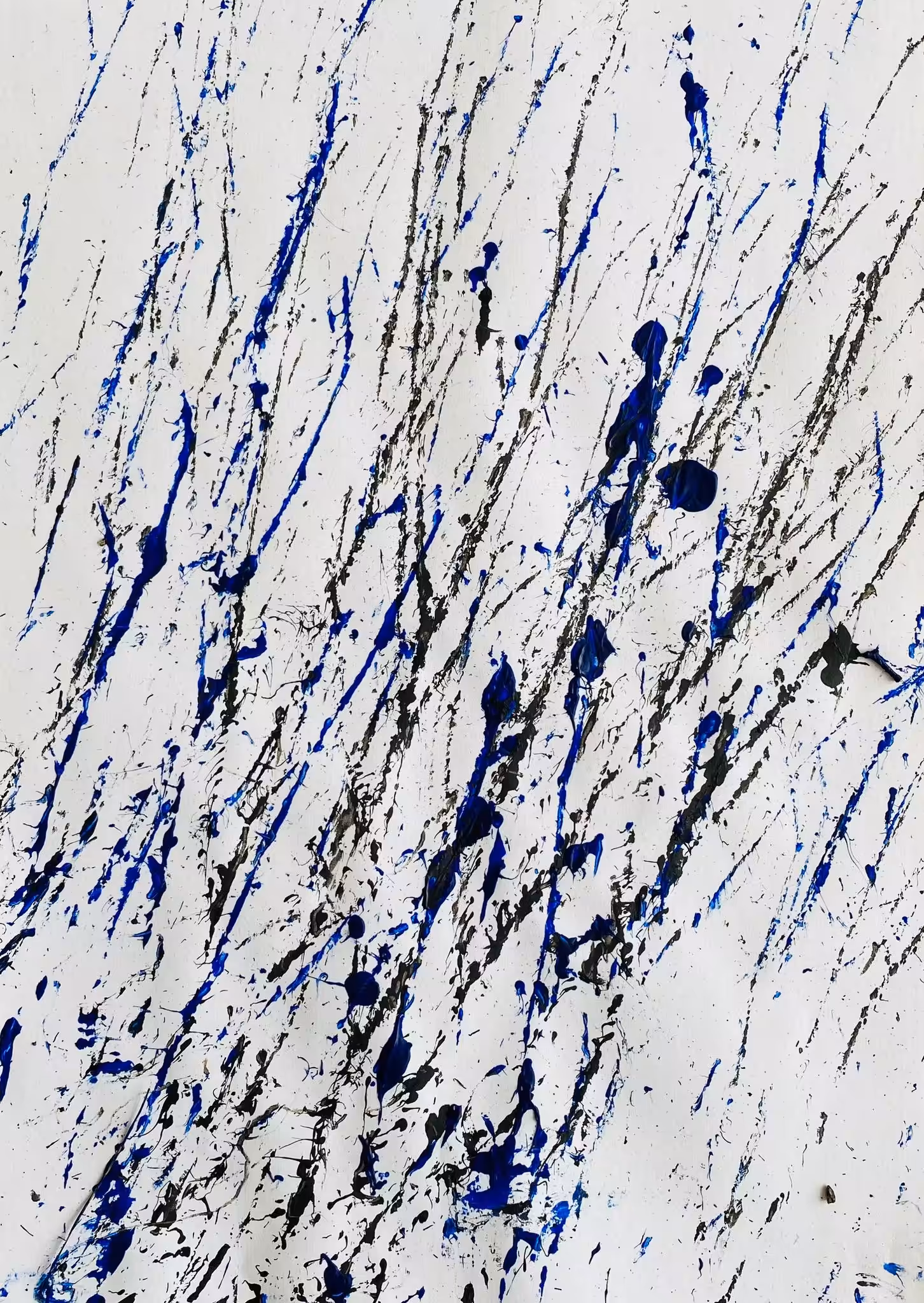 "Obsidian Dreams: A Dance of Blue and Black"
