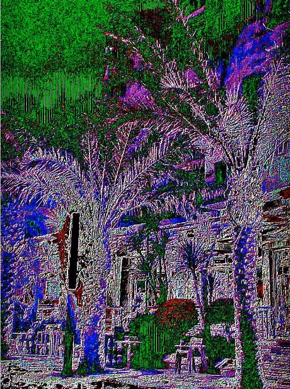 PALM//ERROR SYSTEM
