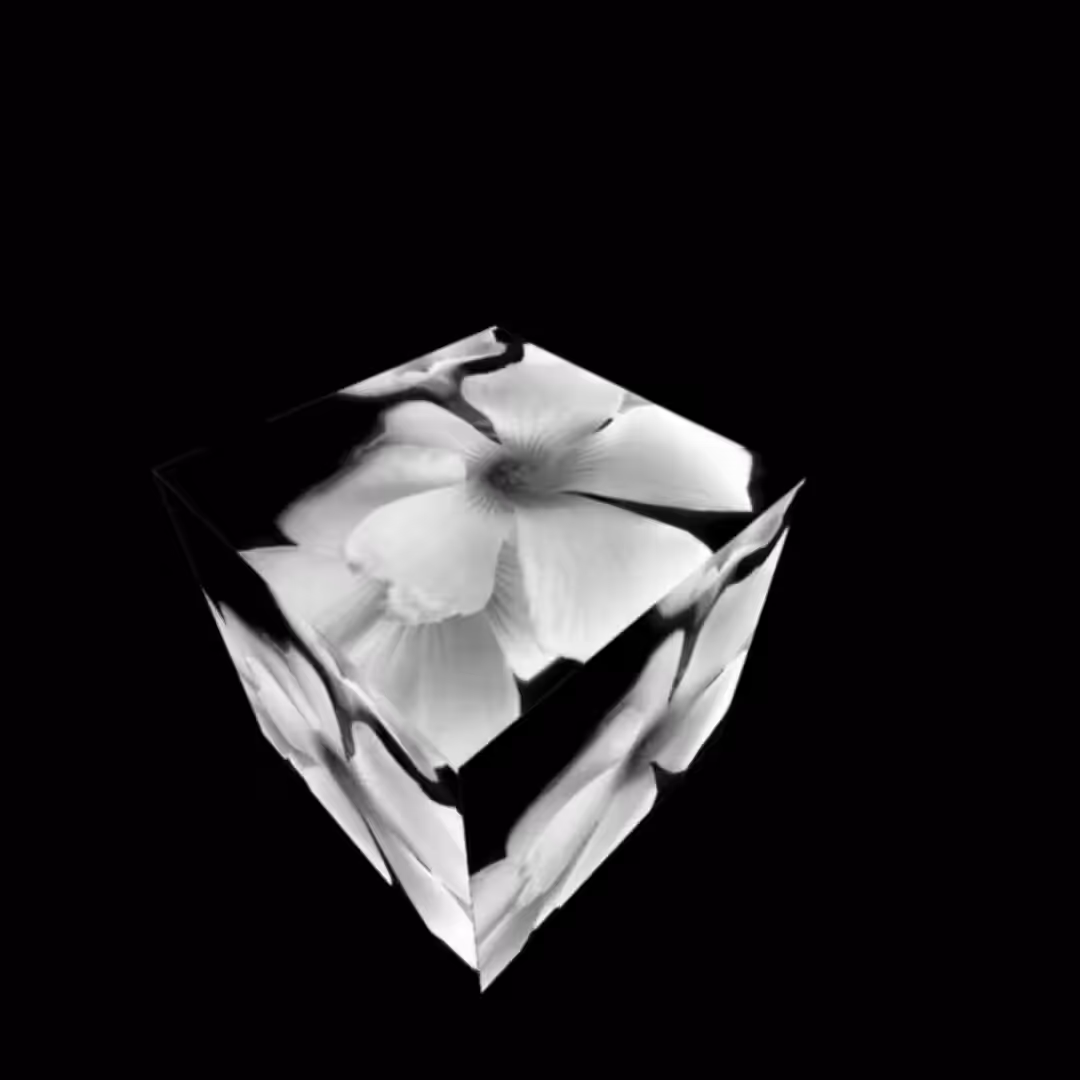 Flower Cube