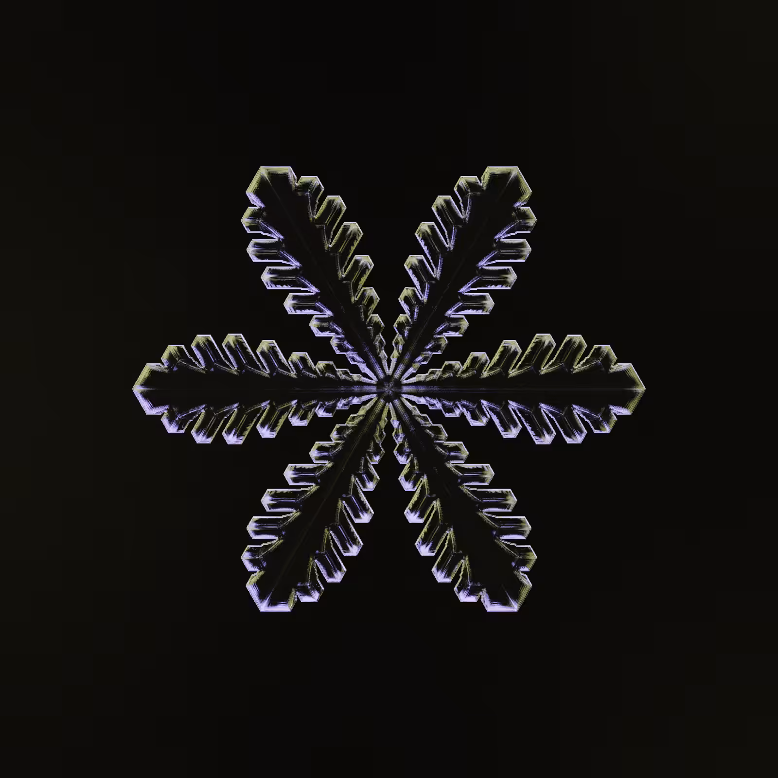 Symmetry and Intricacy #24