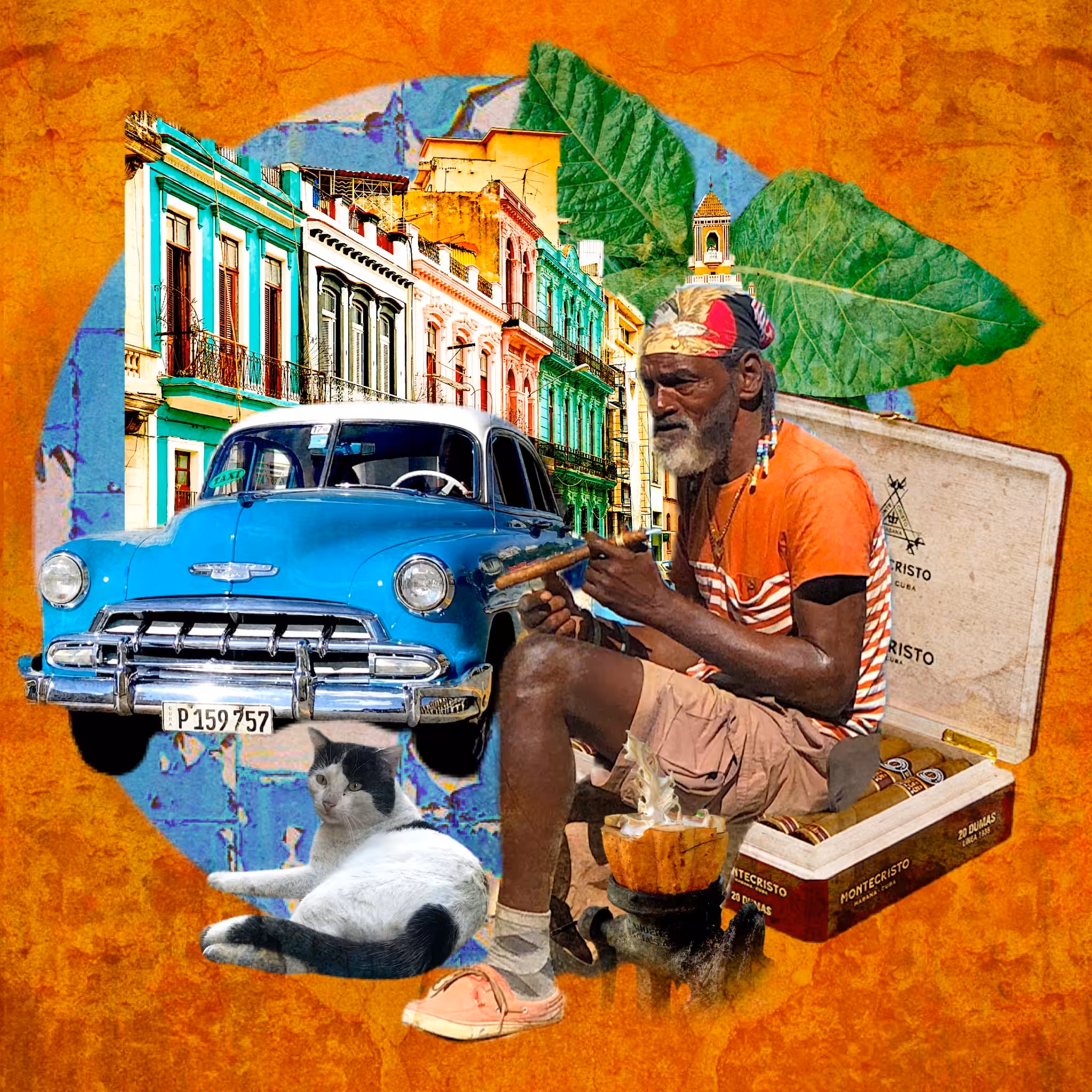 My Passport - Cuba