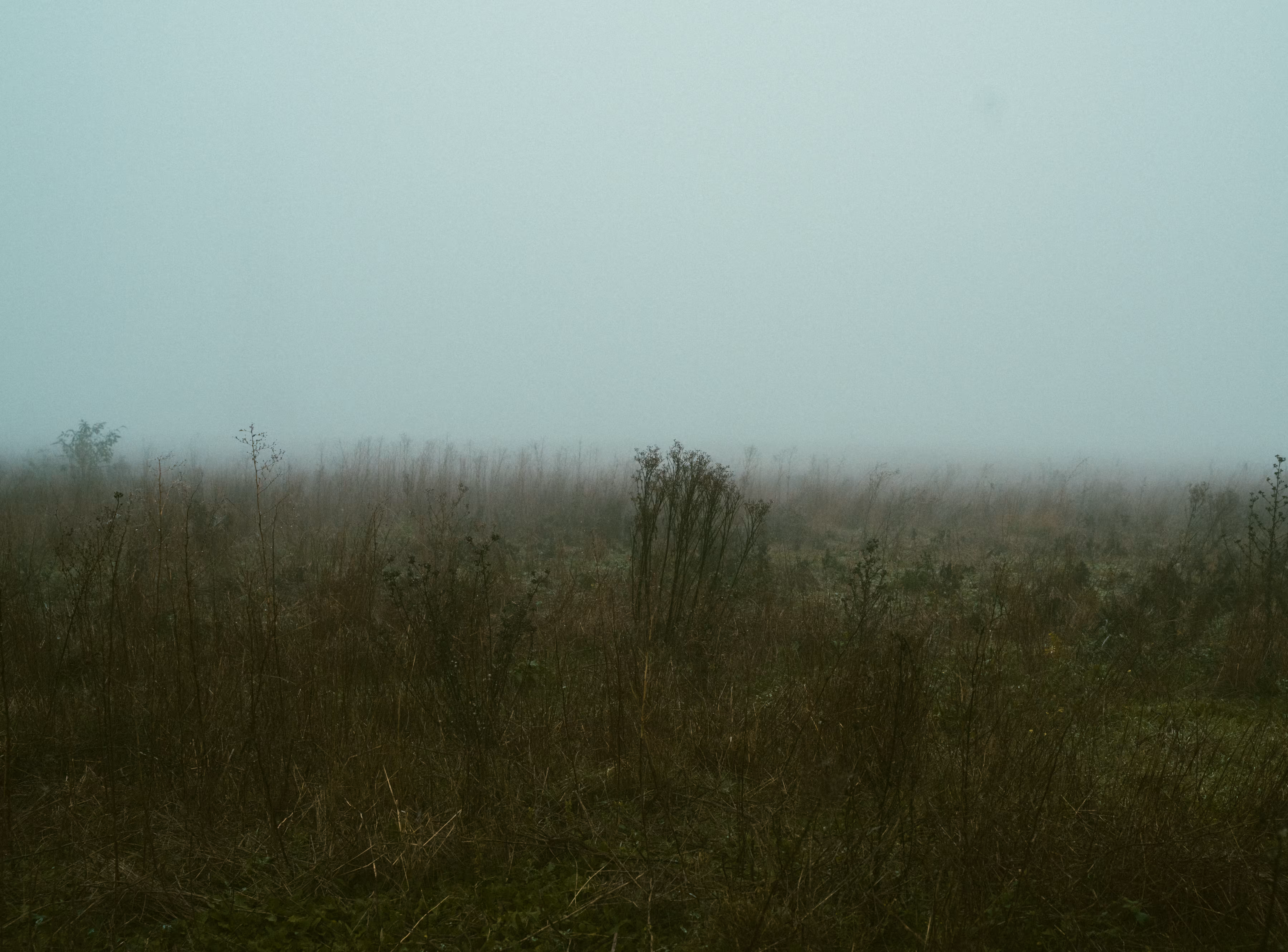 Emptiness