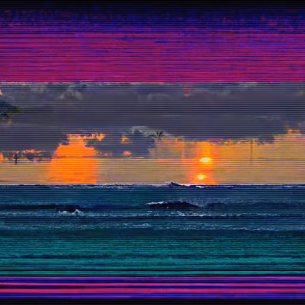 VISTA 036