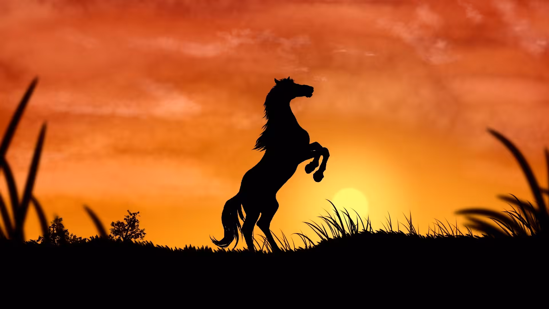 Art Of Abolfazl : Horse And Sunset